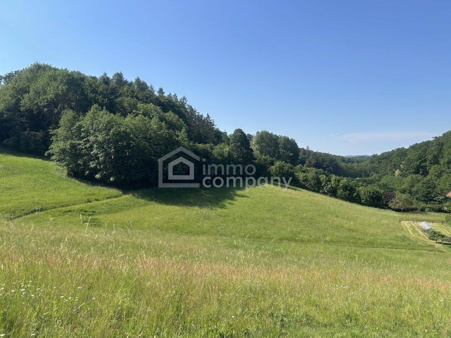 Weitläufige grüne Hügellandschaft mit Wald im Hintergrund unter blauem Himmel.