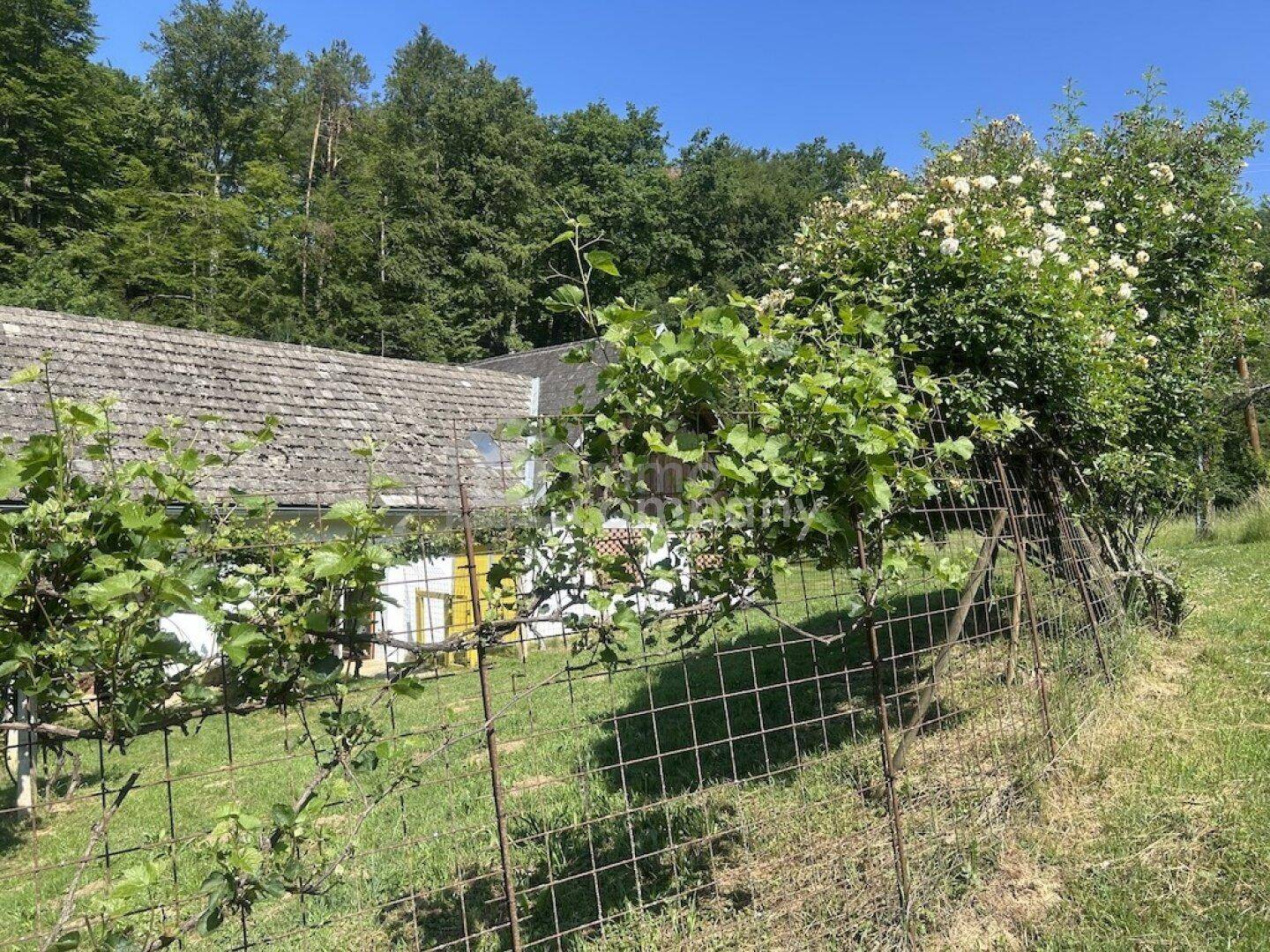 Blick auf das ländliche Haus mit bewachsenem Zaun und üppiger Vegetation im Garten.