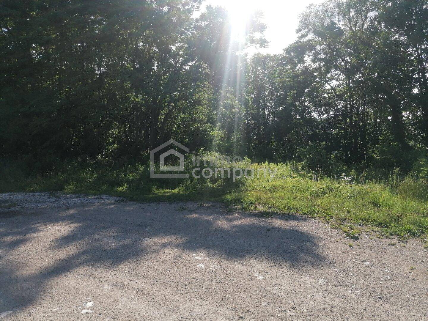Sonniger Außenbereich mit Schotterfläche und dichter Vegetation im Hintergrund.