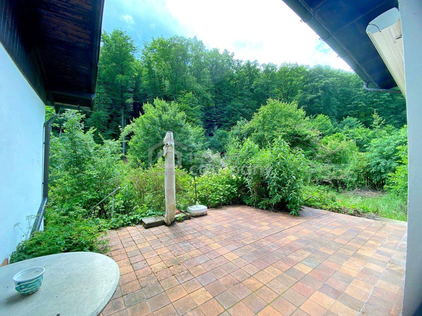 Gepflasterte Terrasse umgeben von grüner Natur und Blick auf den angrenzenden Wald.