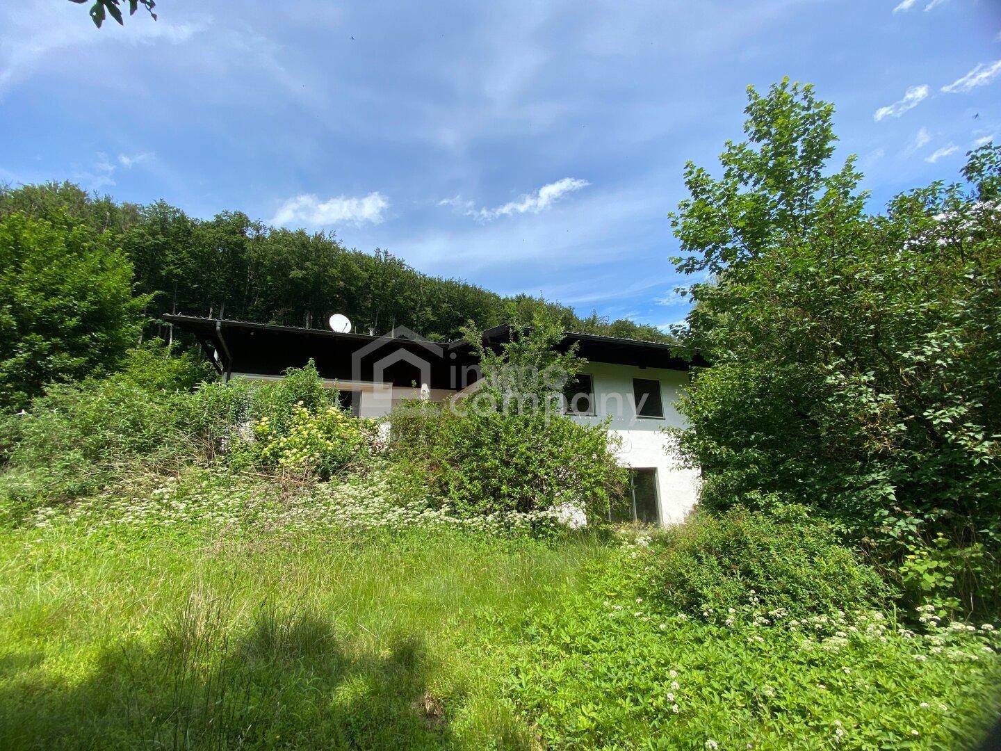 Hausfassade umgeben von dichter Vegetation und einem bewaldeten Hang im Hintergrund.