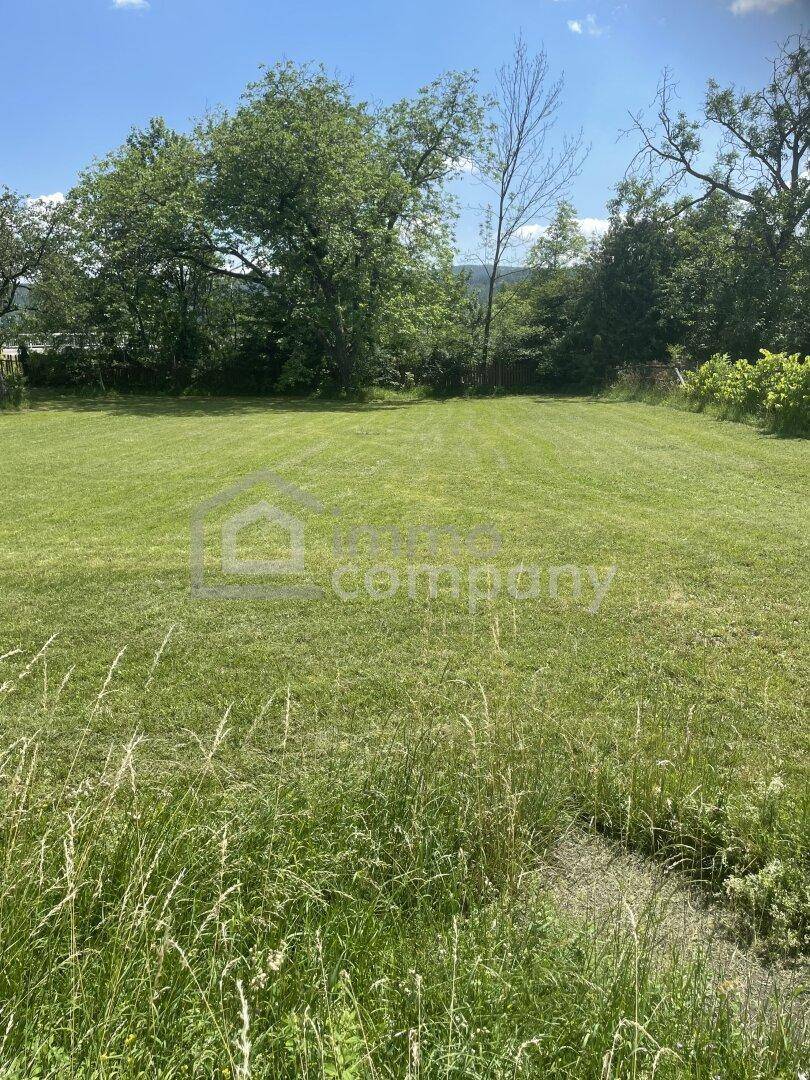 Genau richtig! Nicht zu groß und nicht zu klein. 692 m² Baugrundstück mit altem Nussbaum - Ansicht 2