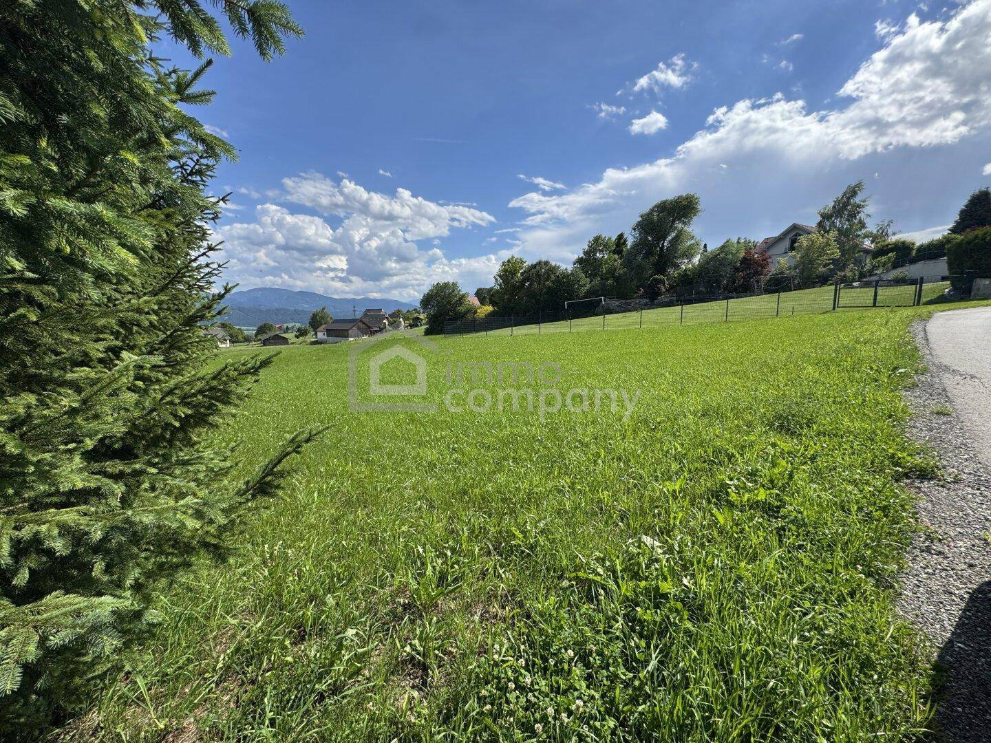 Sonnige grüne Wiese mit einem Baum im Vordergrund, umgeben von Häusern und einem weiten Bergblick.