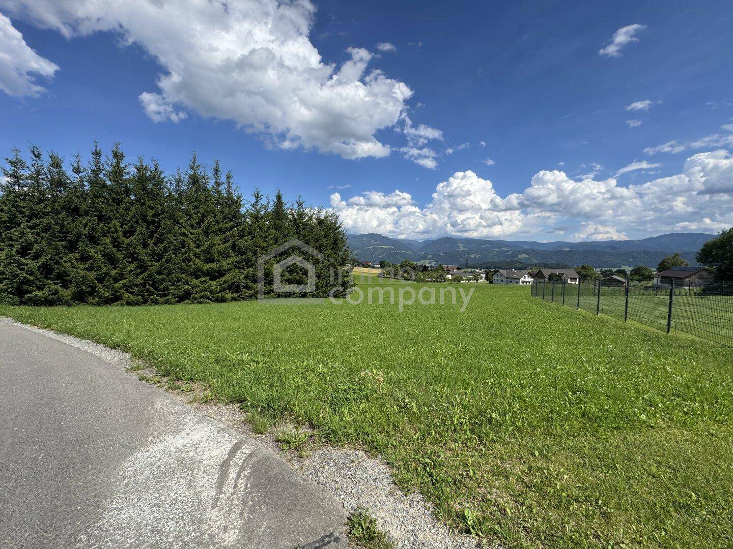 Grüne Landschaft mit einer Reihe von Bäumen, einem Weg und einem Panoramablick auf die Berge.