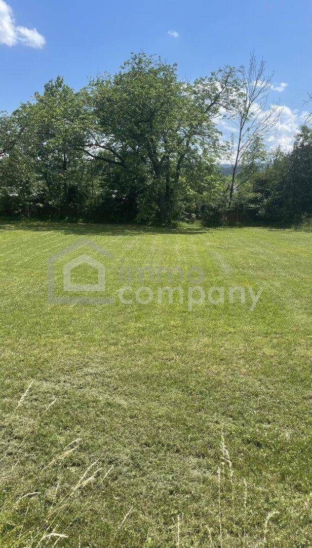 Mehr Raum für die schönen Seiten des Lebens - 1.252 m² Baugrundstück mit Altbaumbestand - Ansicht 2