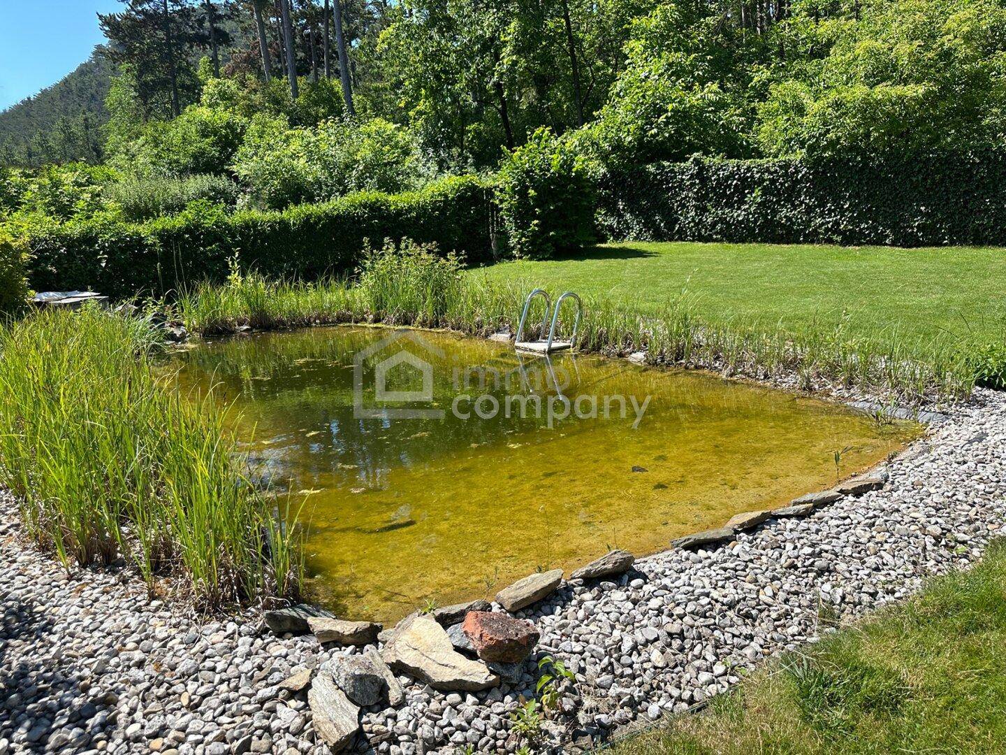 Natürlicher Gartenteich mit Steineinfassung und einer kleinen Leiter, umgeben von Grünflächen.