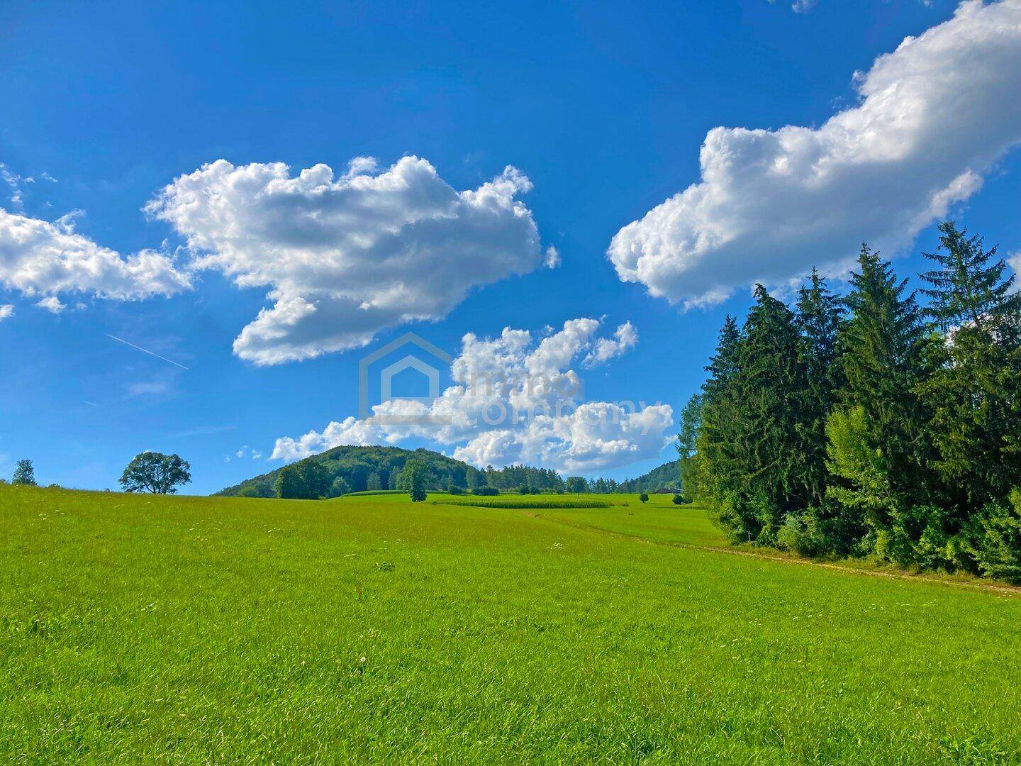 Weitläufige grüne Wiesen und sanfte Hügel unter einem strahlend blauen Himmel mit weißen Wolken.