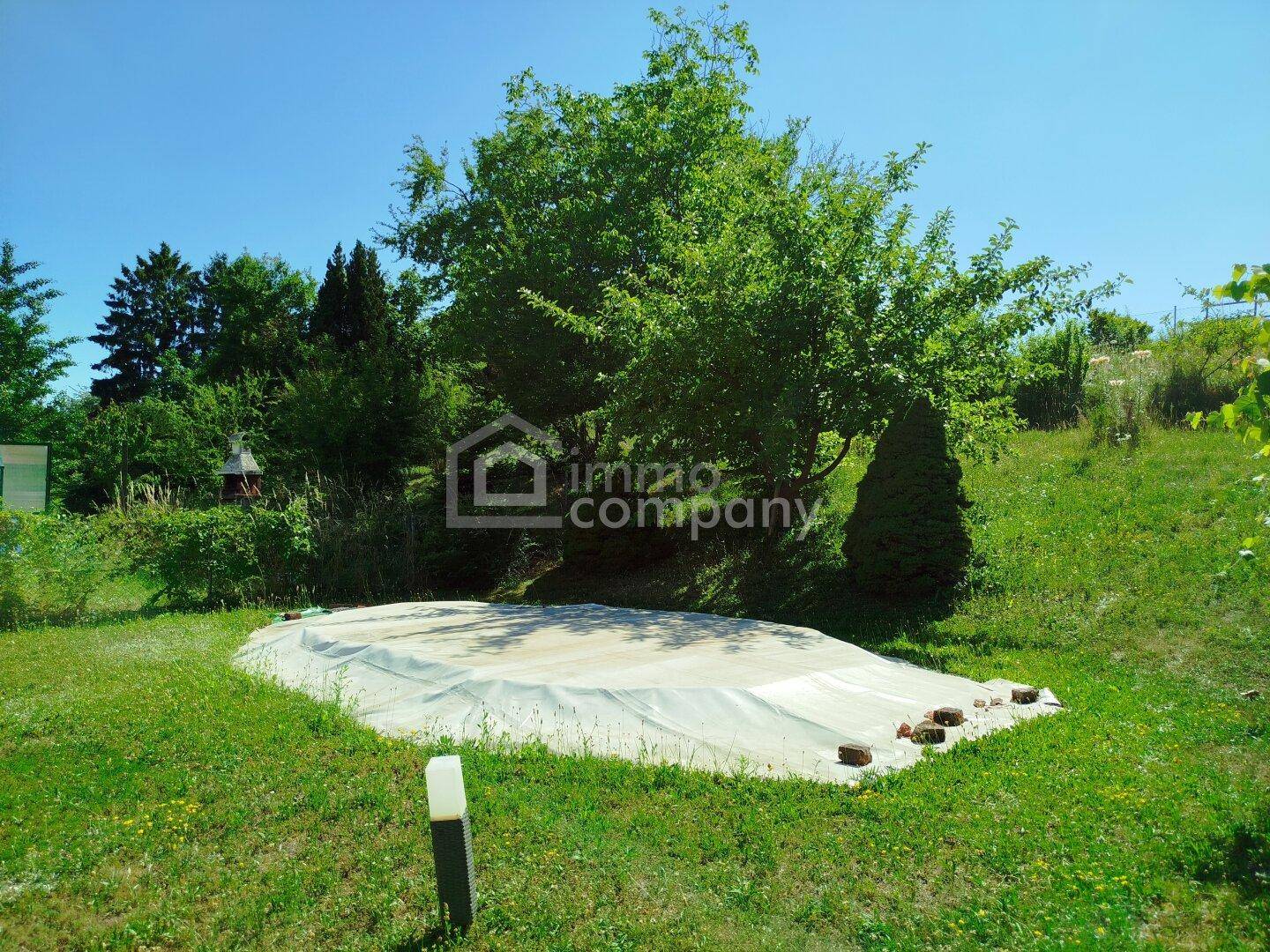 Weitläufiger Gartenbereich mit großem Baum und einer abgedeckten Fläche im Rasen.