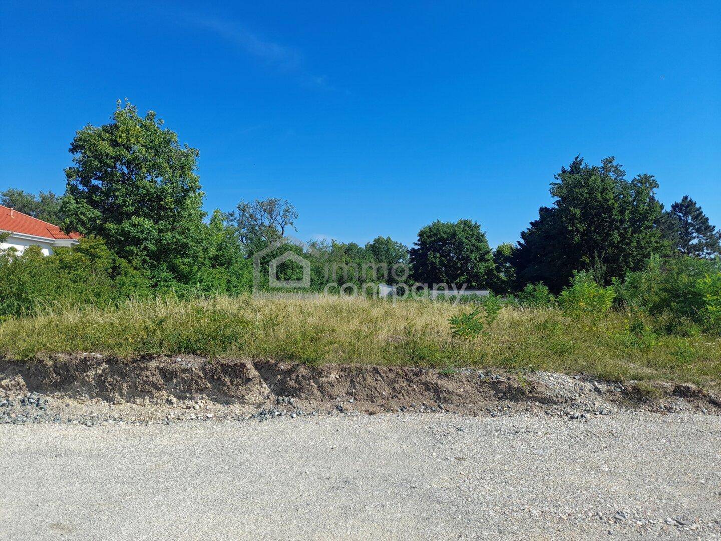 Unbebautes Grundstück mit Gras und Bäumen im Hintergrund, im Vordergrund ein Schotterweg.