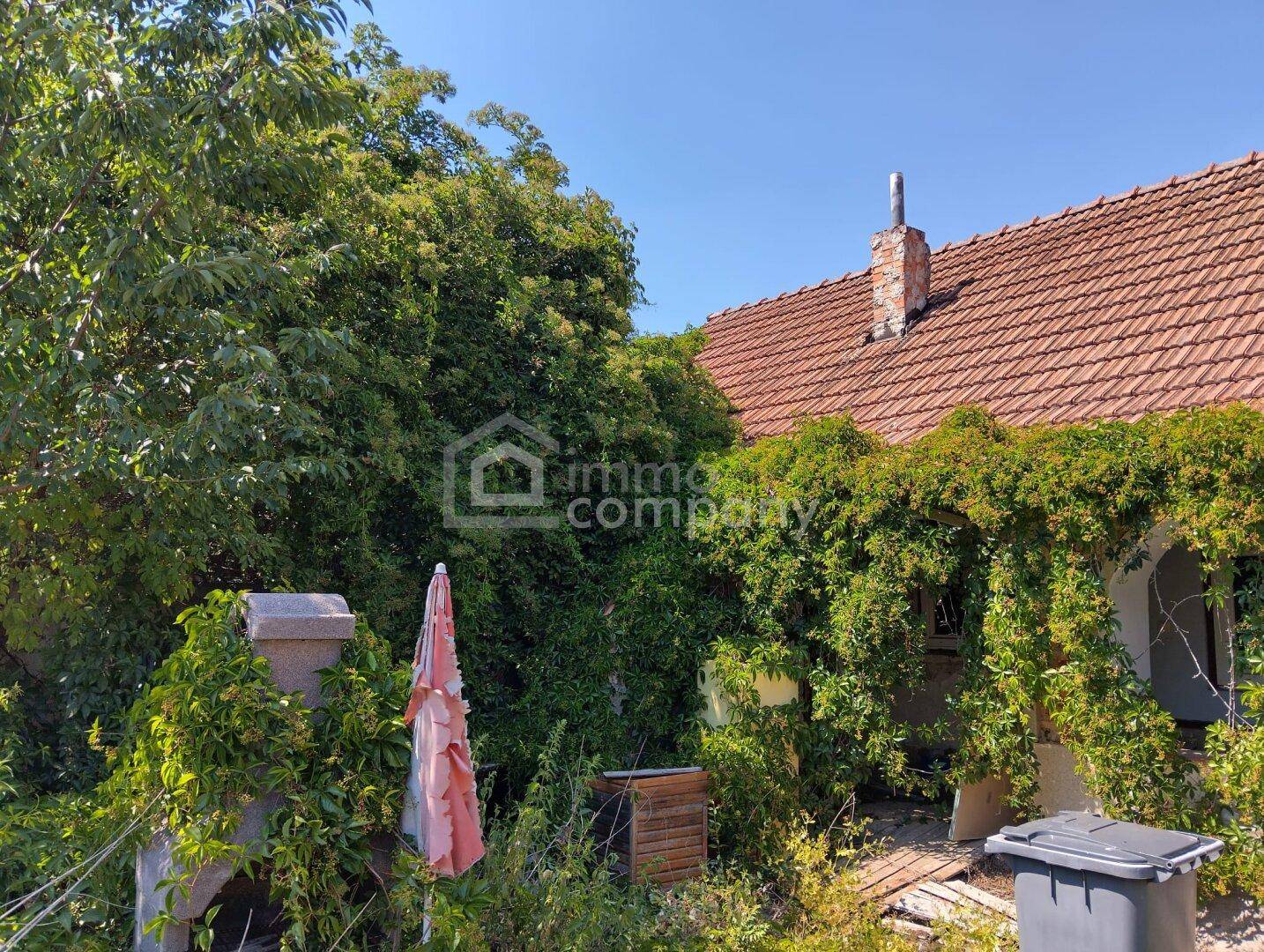 Hausfassade mit Ziegeldach und Kamin, stark bewachsen mit Efeu und Pflanzen, daneben ein Außengrill.