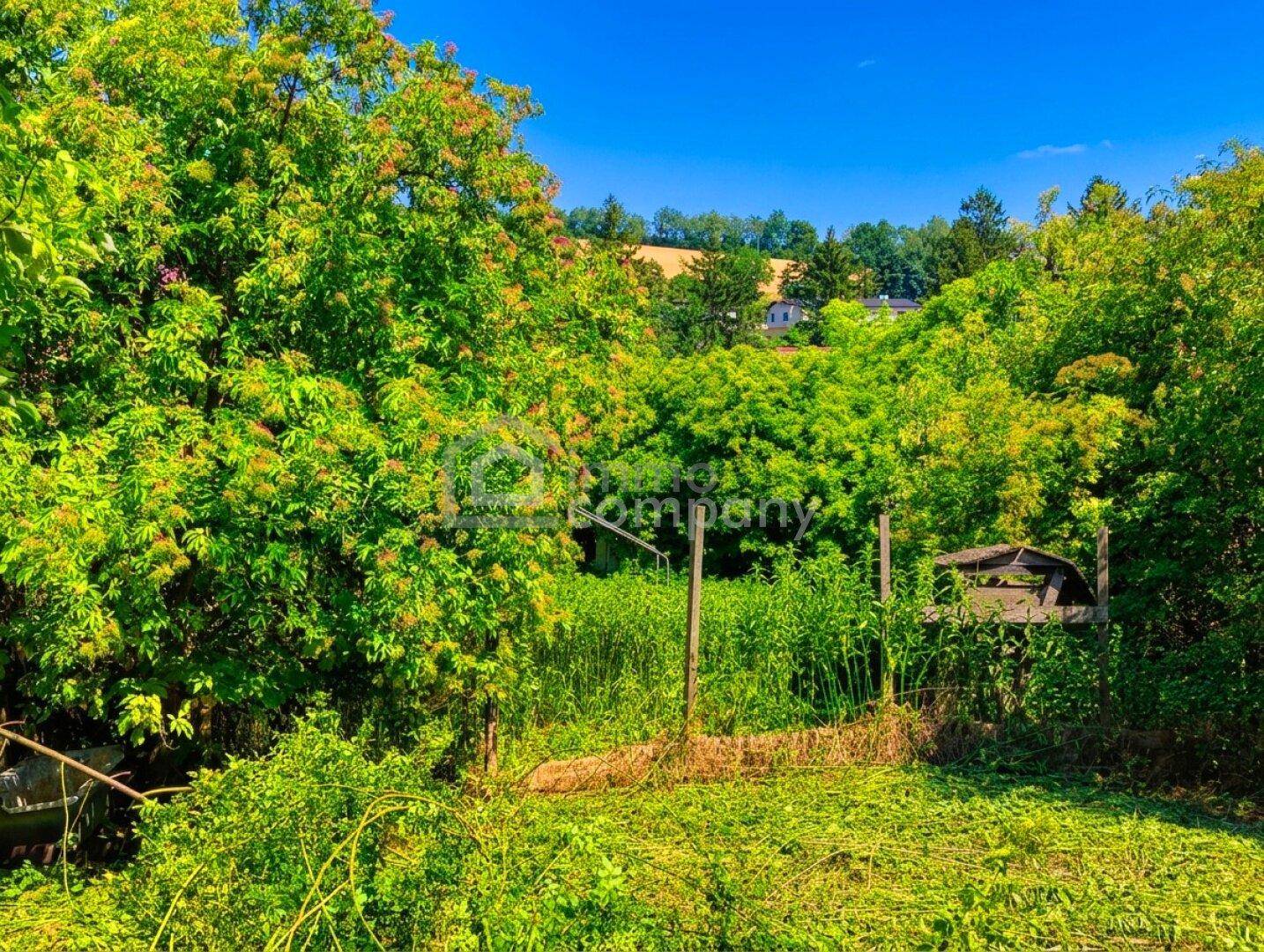 Blick über üppige grüne Vegetation und Felder auf entfernte Häuser unter strahlend blauem Himmel.