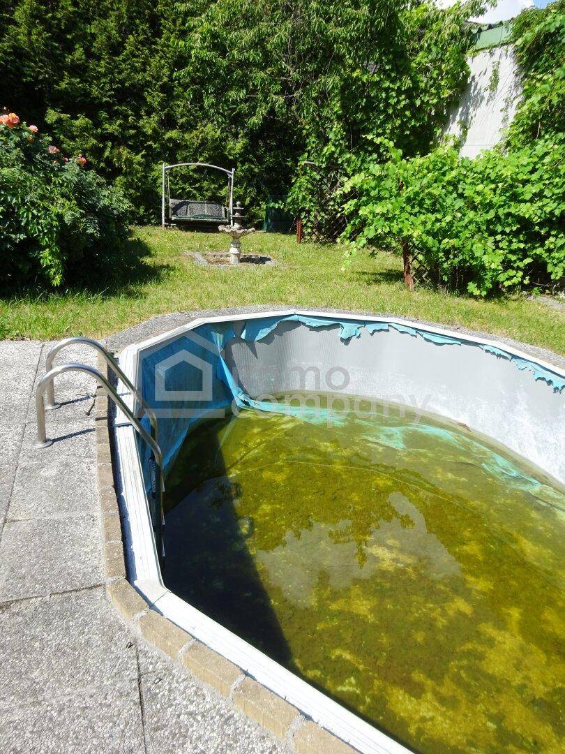 Nahaufnahme eines leeren Pools im Garten, umgeben von Grünflächen und Bäumen.