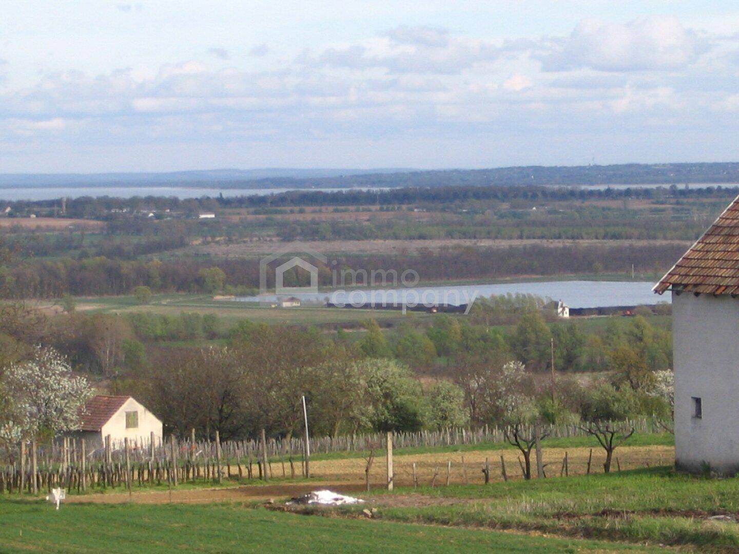 Panoramablick über eine ländliche Landschaft mit Weinreben, Häusern und einem See in der Ferne.