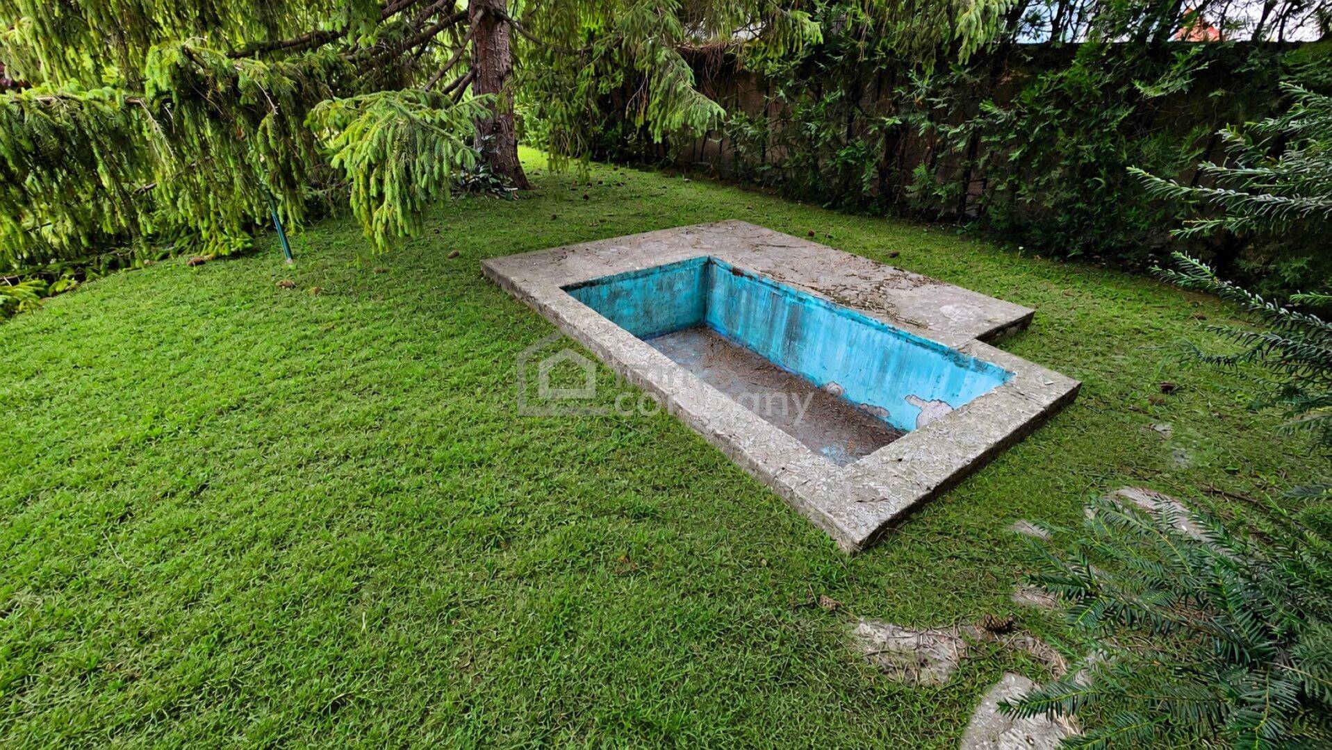 Gartenbereich mit einem leeren, in die Jahre gekommenen Swimmingpool, umgeben von Rasen und Bäumen.
