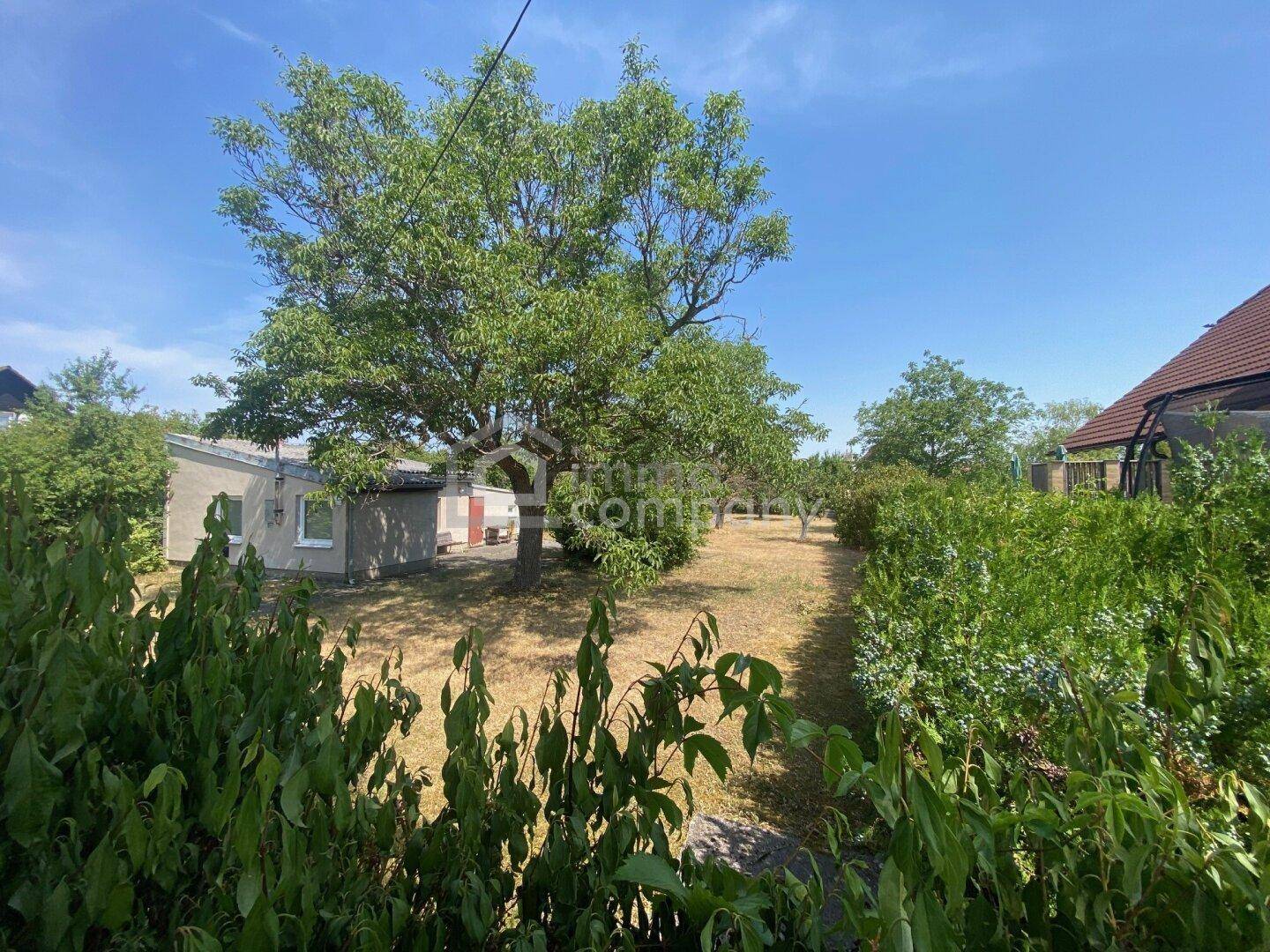 Weitläufiger Garten mit altem Baumbestand und einem kleinen Haus im Hintergrund an einem sonnigen Tag.