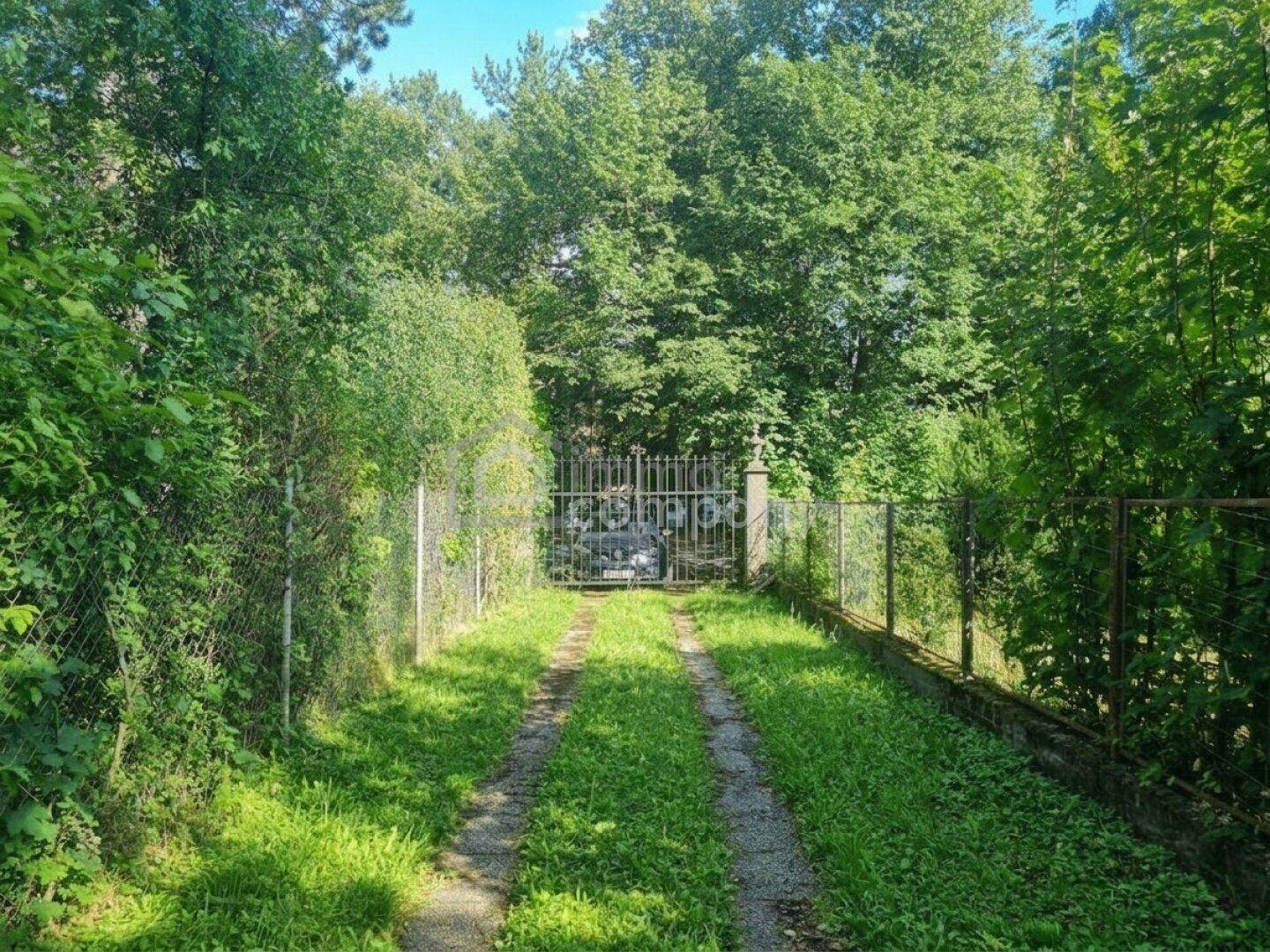 Schmale Zufahrt mit Grasbewuchs, die zu einem schmiedeeisernen Tor führt, umgeben von dichtem Grün.