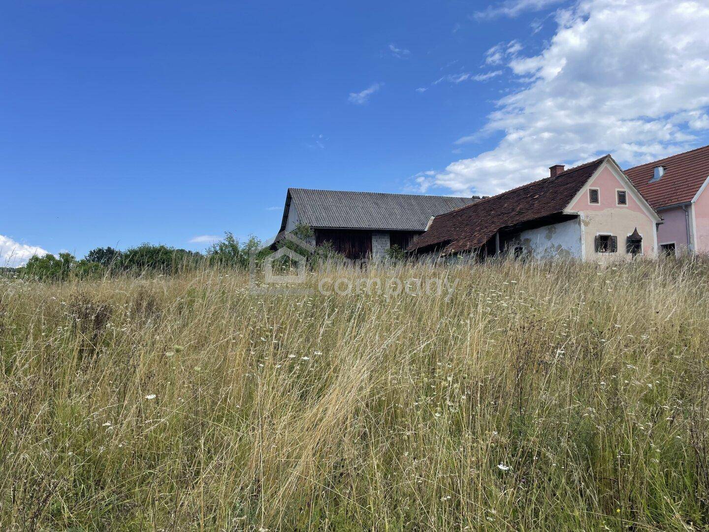 Weitläufiges Feld mit hohem Gras und alten Gebäuden im Hintergrund unter blauem Himmel.