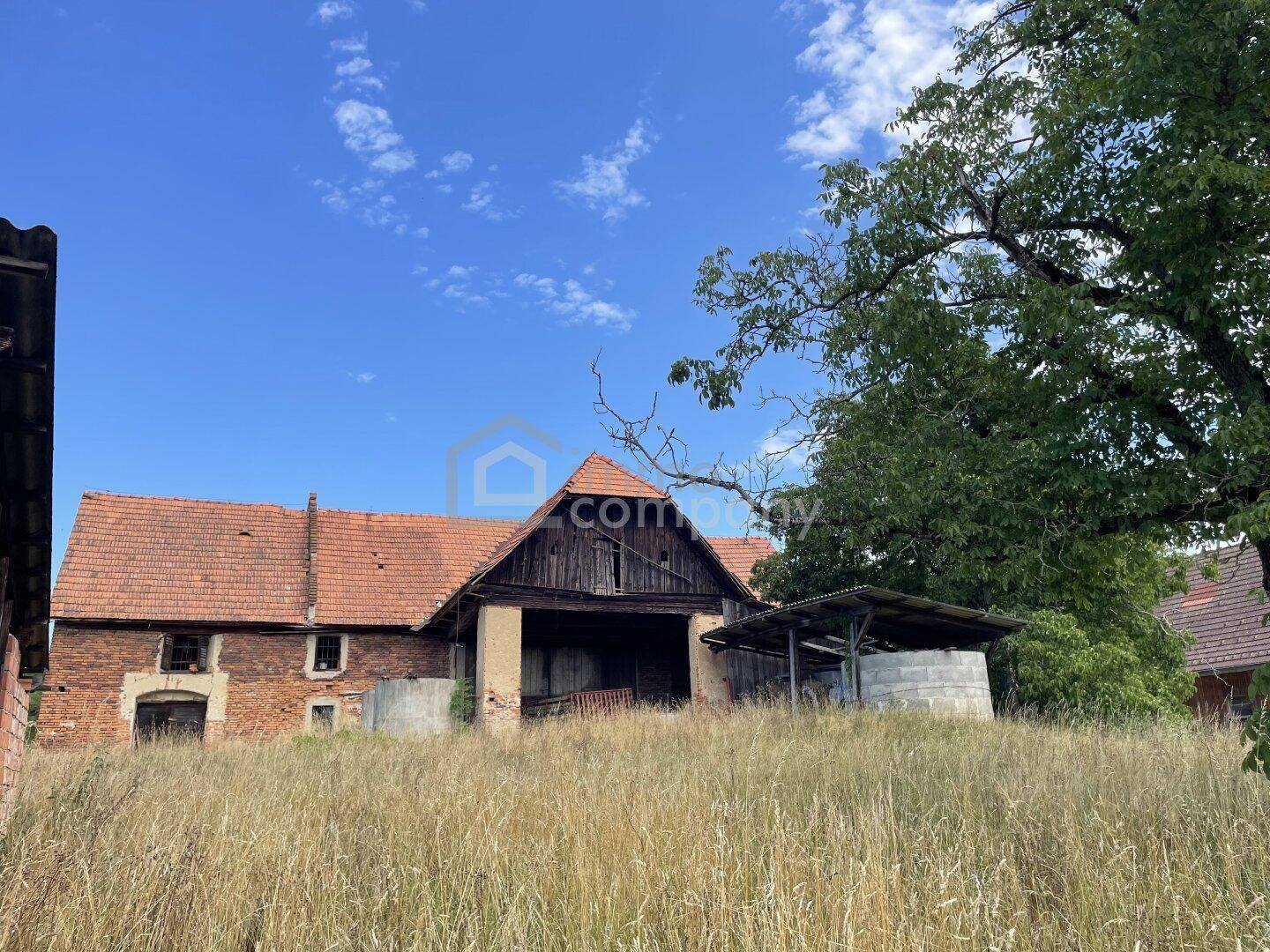 Altes Bauernhaus mit Ziegeldach und großem, altem Baum auf einem Feldgrundstück.