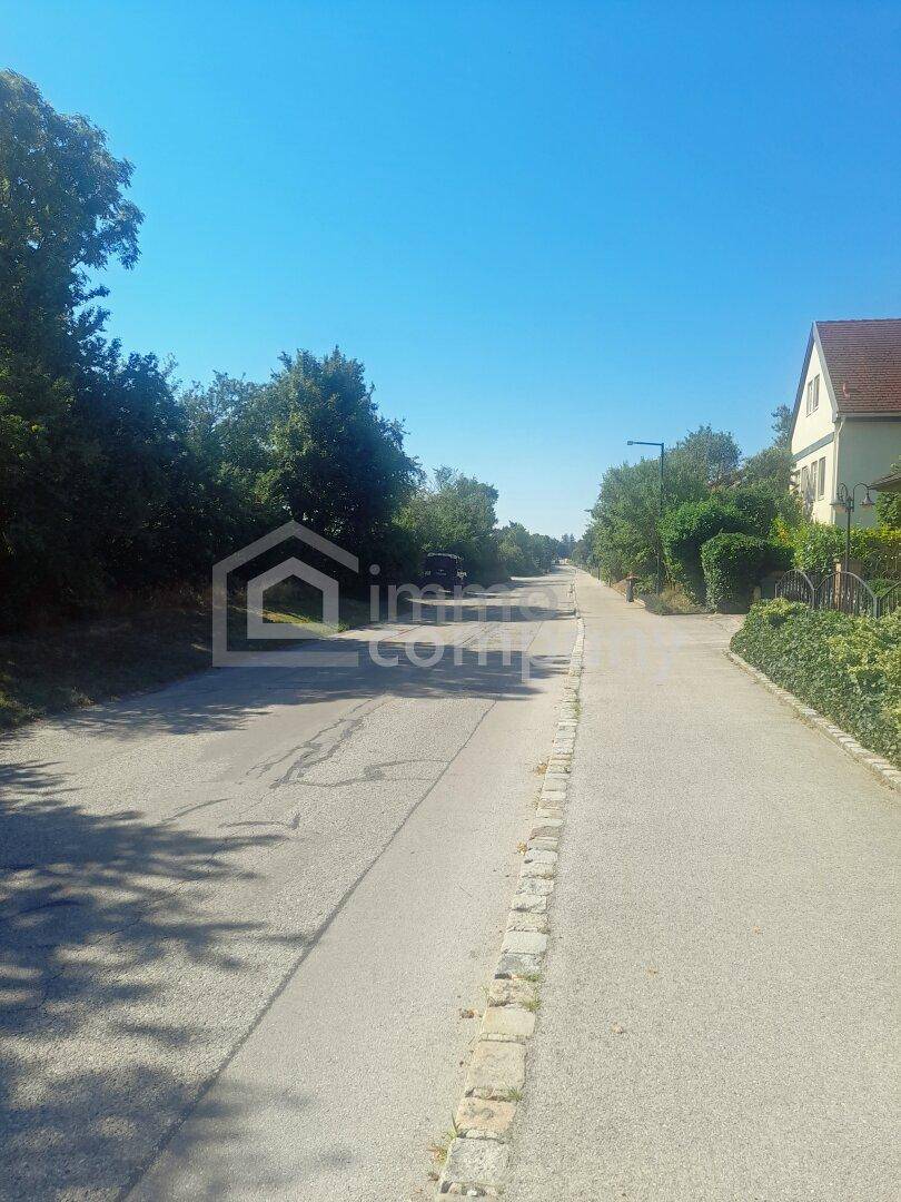Ruhige Wohnstraße mit Bäumen und Häusern entlang des Weges unter blauem Himmel.