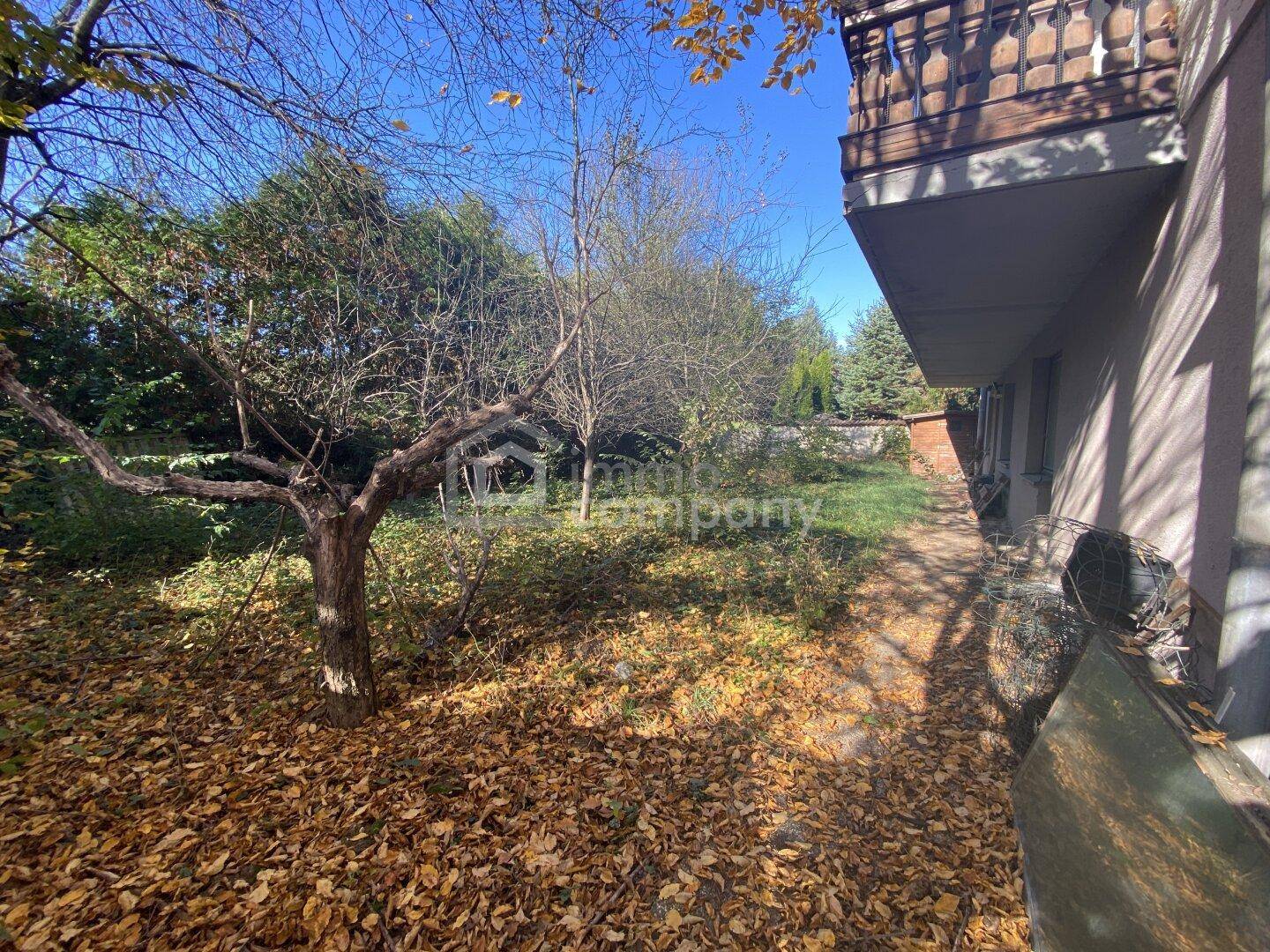 Naturbelassener Garten mit alten Bäumen und herabgefallenen Blättern, neben dem Gebäude.