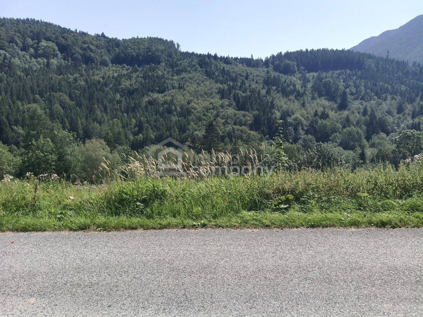 Blick über eine Straße auf eine grüne Wiese und bewaldete Berghänge unter blauem Himmel.