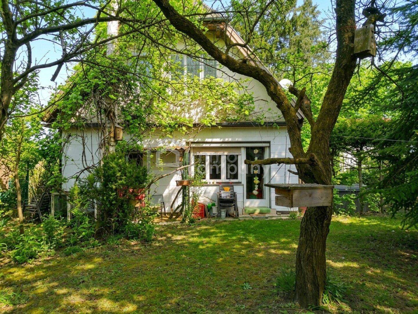 Rückansicht des Hauses mit einem weitläufigen, grünen Garten und altem Baumbestand.