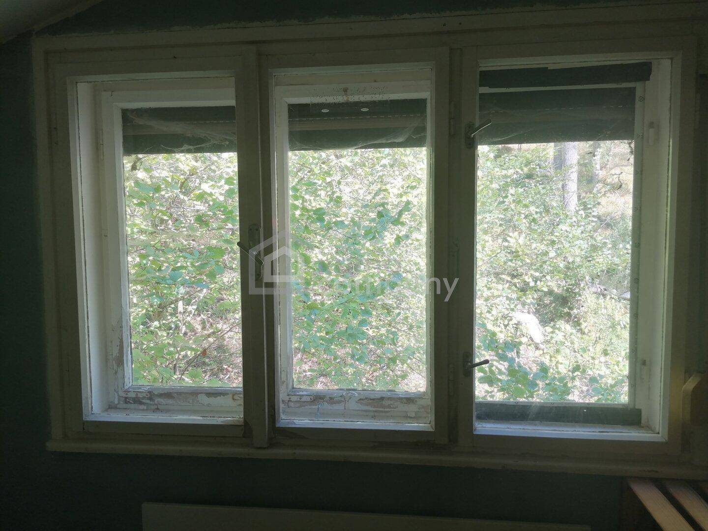 Drei Fenster mit Blick auf dichtes grünes Laubwerk und Bäume, die viel natürliches Licht hereinlassen.