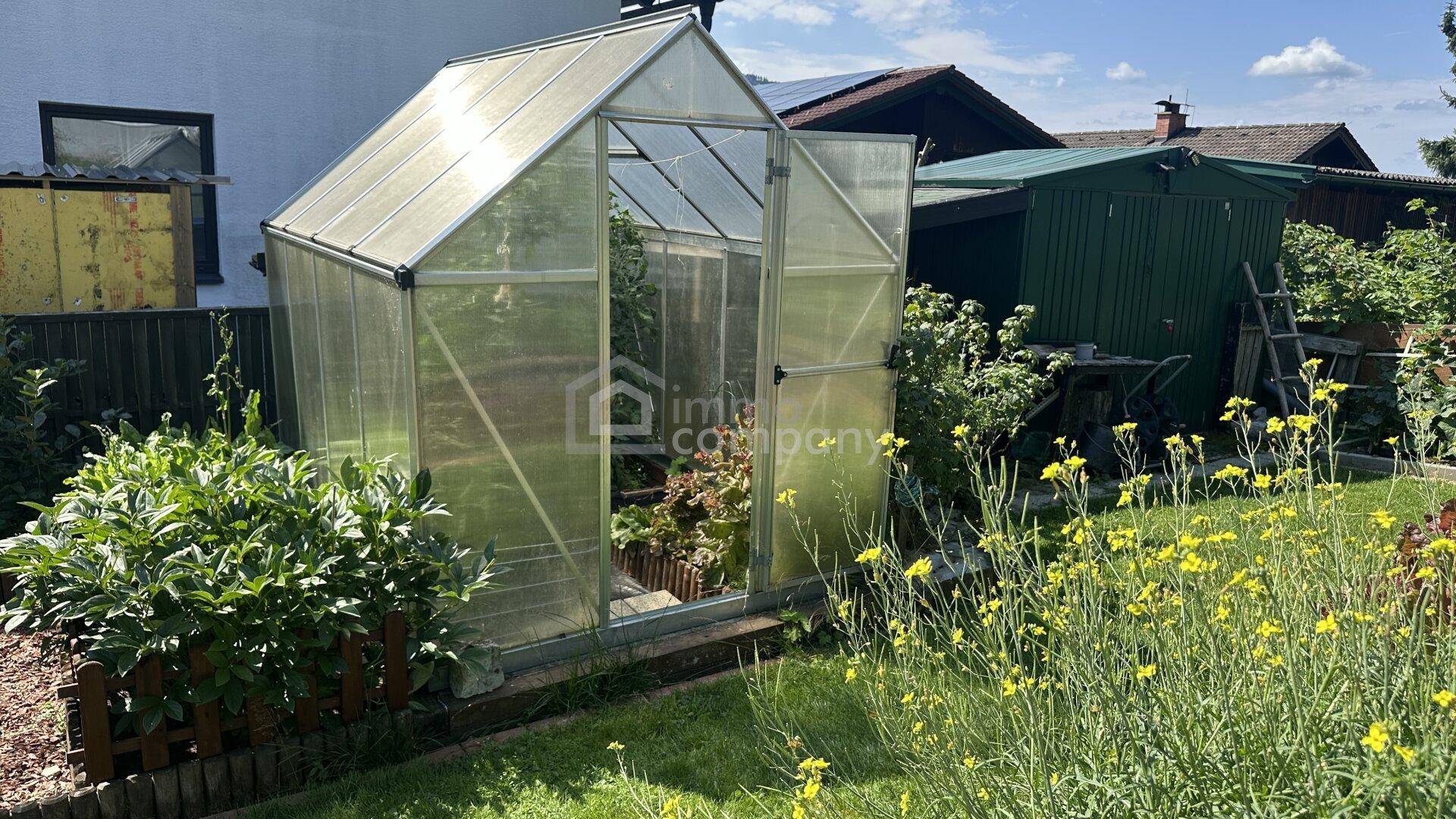 Kleines Gewächshaus im sonnigen Garten, umgeben von Blumen und einem weiteren Schuppen.