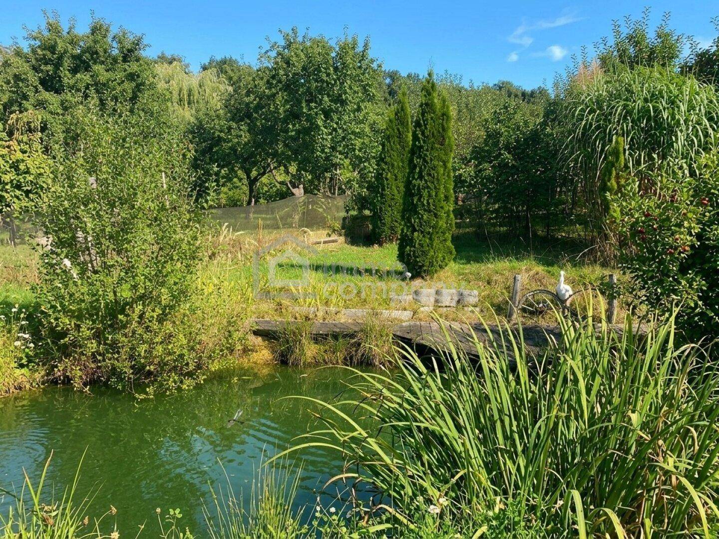 Natürlicher Gartenteich mit üppiger Vegetation, einer kleinen Holzbrücke und hohen Bäumen im Hintergrund.