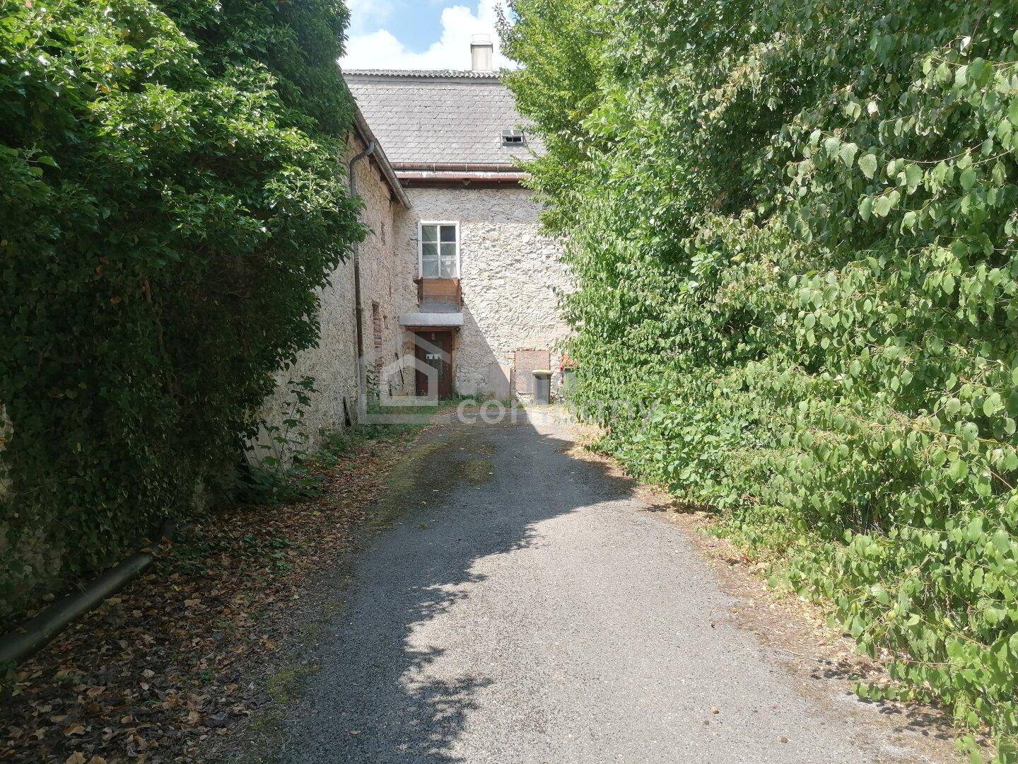 Schmaler Kiesweg führt durch dichte Vegetation zu einem traditionellen Steingebäude.