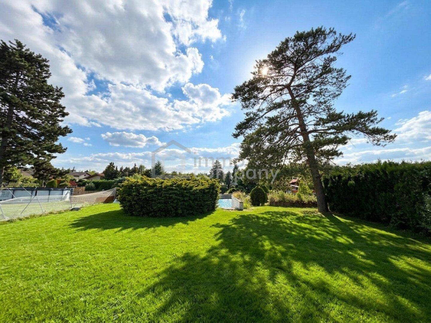Großer, sonniger Garten mit weitläufiger Rasenfläche, altem Baum und einem kleinen Pool im Hintergrund.