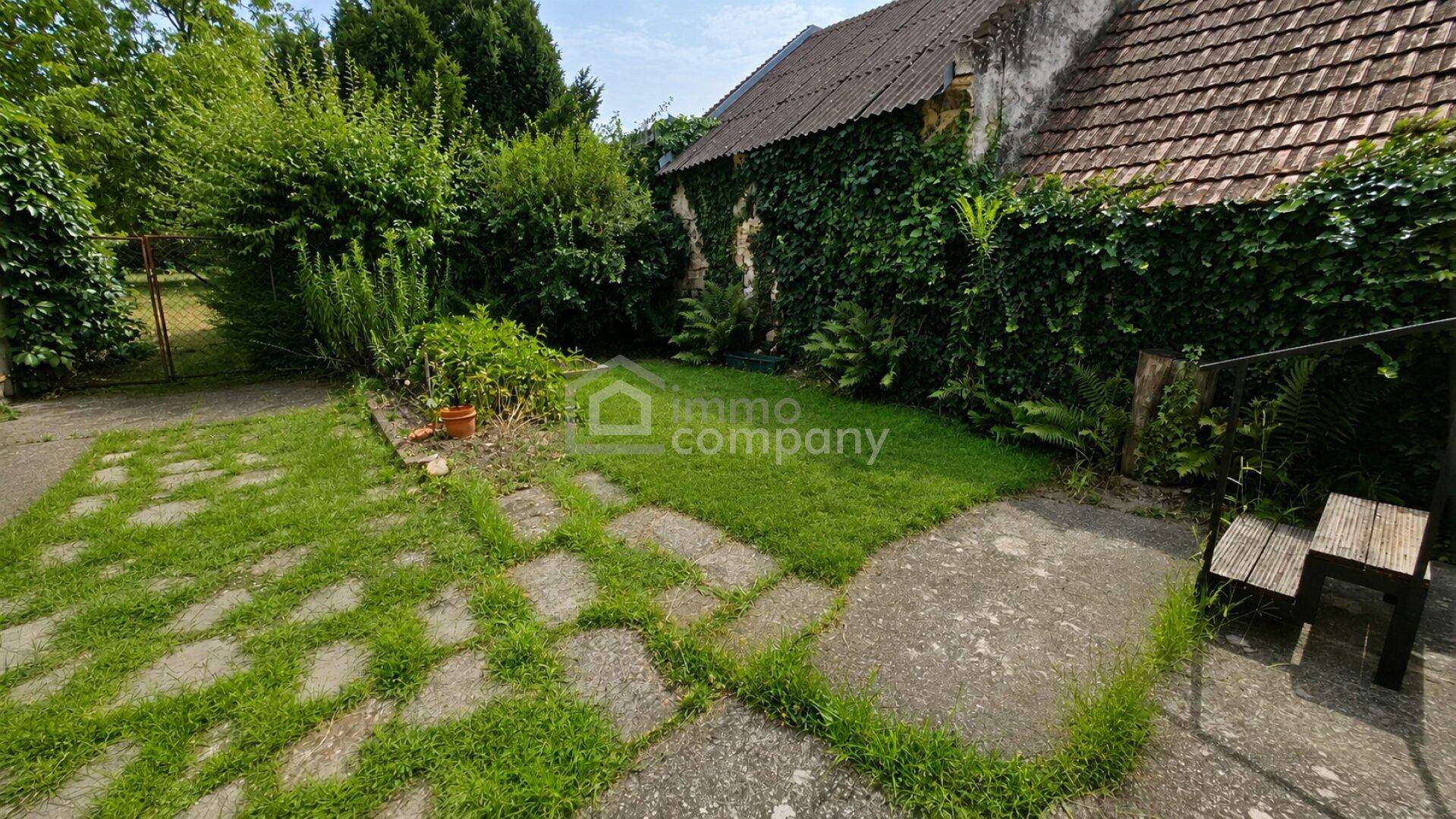 Grüner Gartenbereich mit Steinplattenwegen, dichter Bepflanzung und einer kleinen Holzbank.
