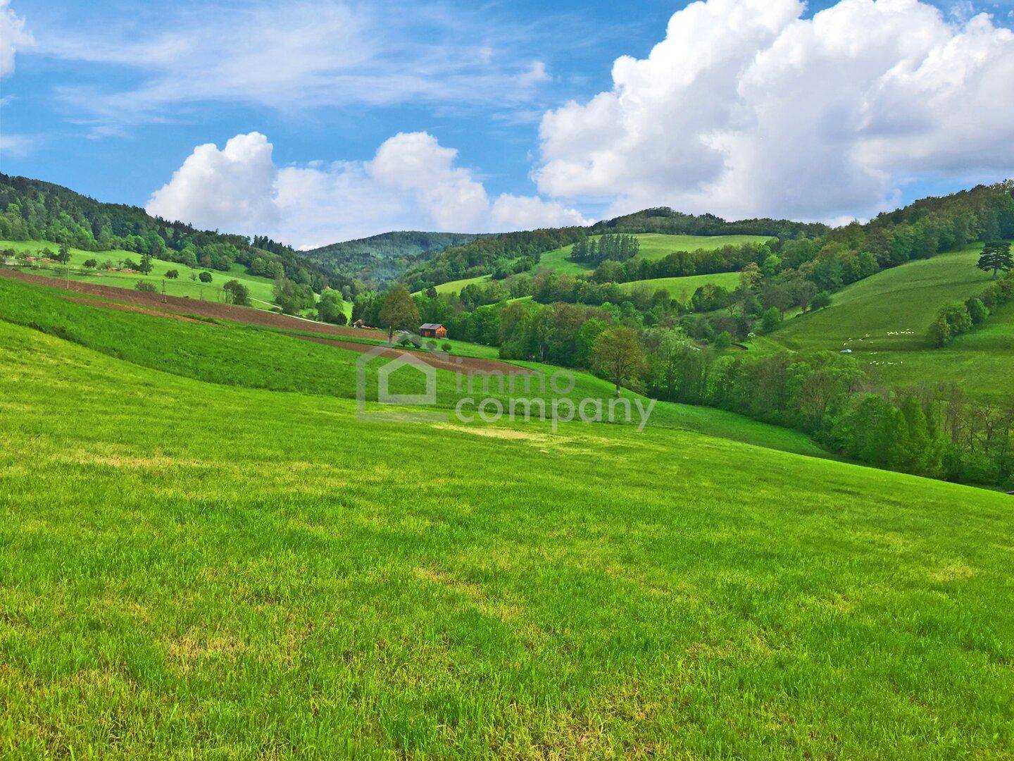 Weite grüne Hügellandschaft mit Feldern unter einem strahlend blauen Himmel.