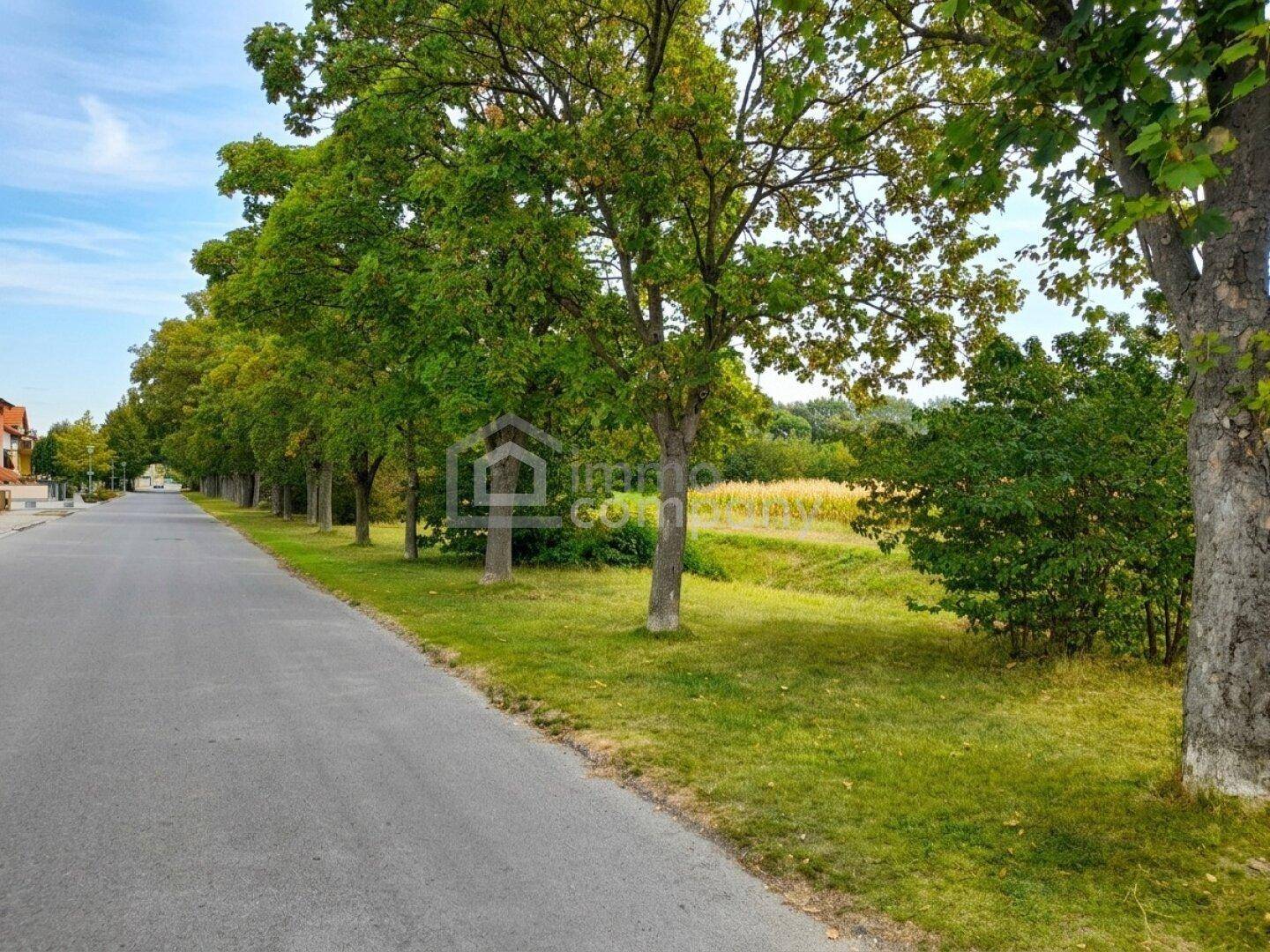 Blick in die Strasse vorm Haus