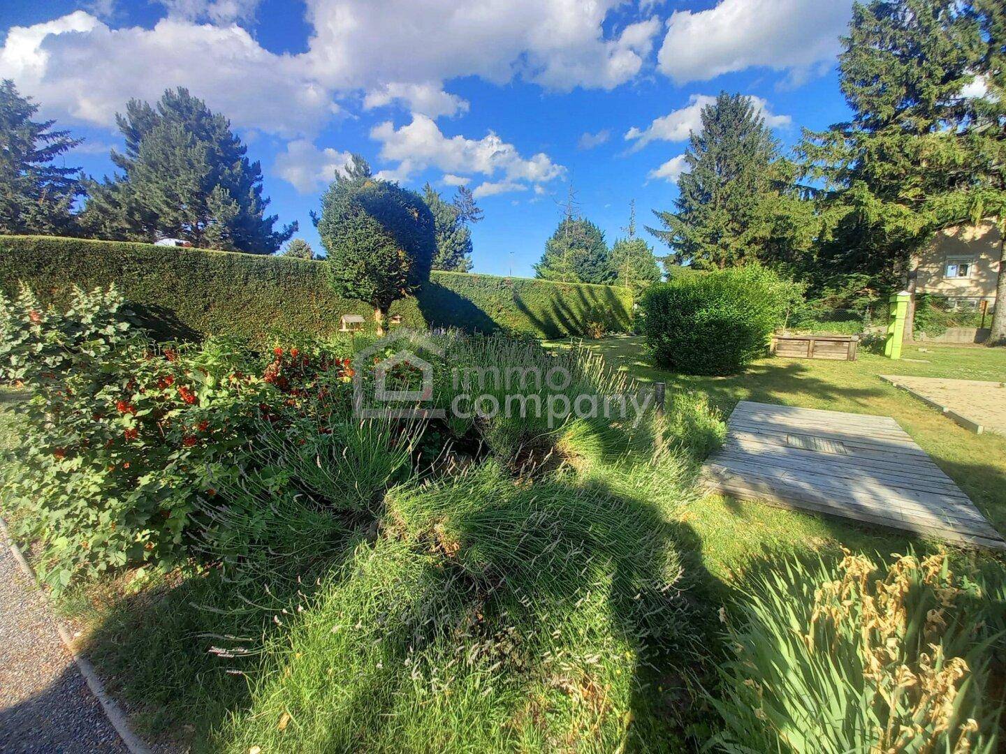 Gepflegter Gartenbereich mit verschiedenen Sträuchern, Rasen und einer hohen Hecke.
