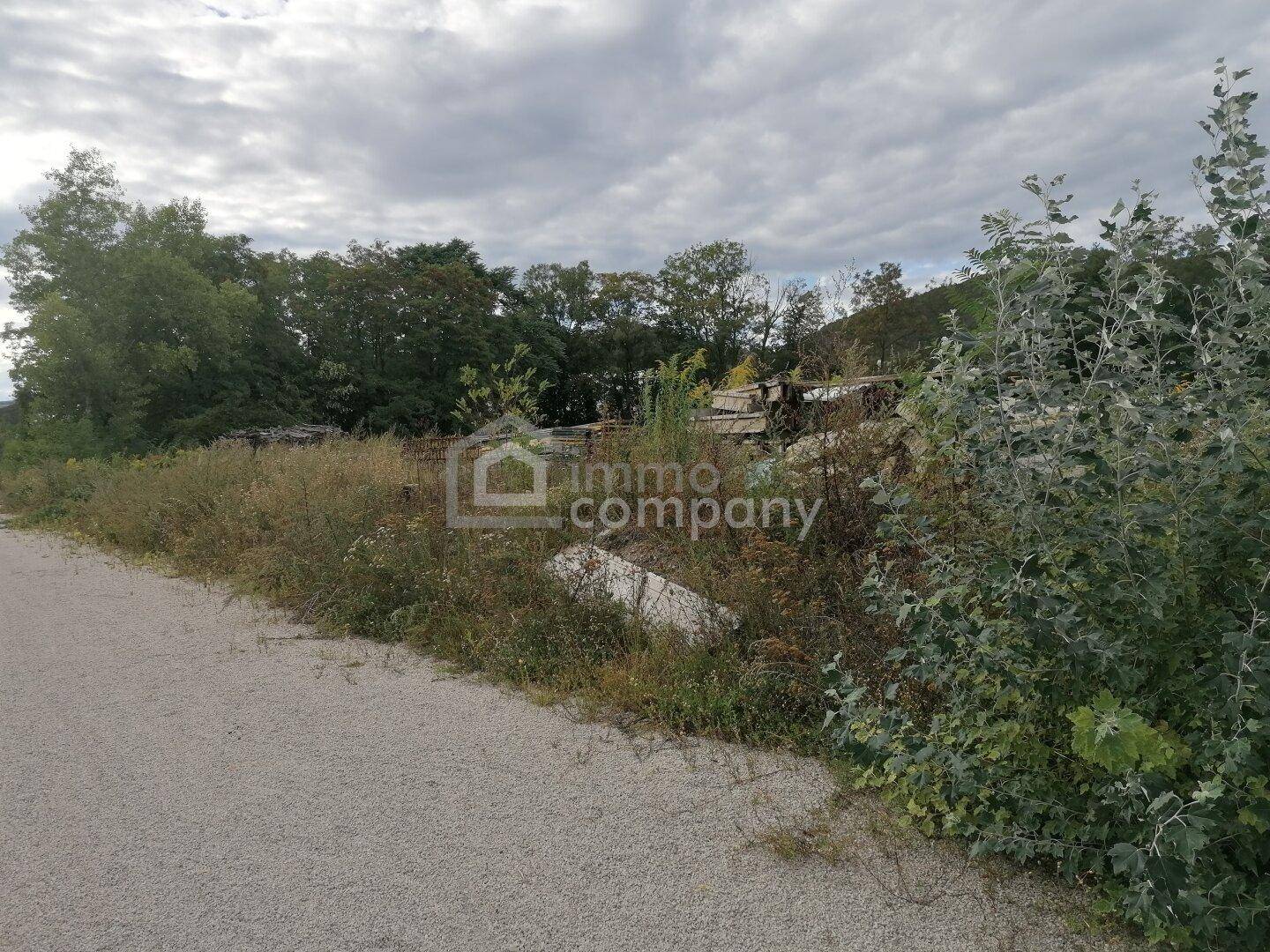 Überwuchertes Grundstück mit einem unbefestigten Weg und dichter Vegetation im Hintergrund unter bewölktem Himmel.