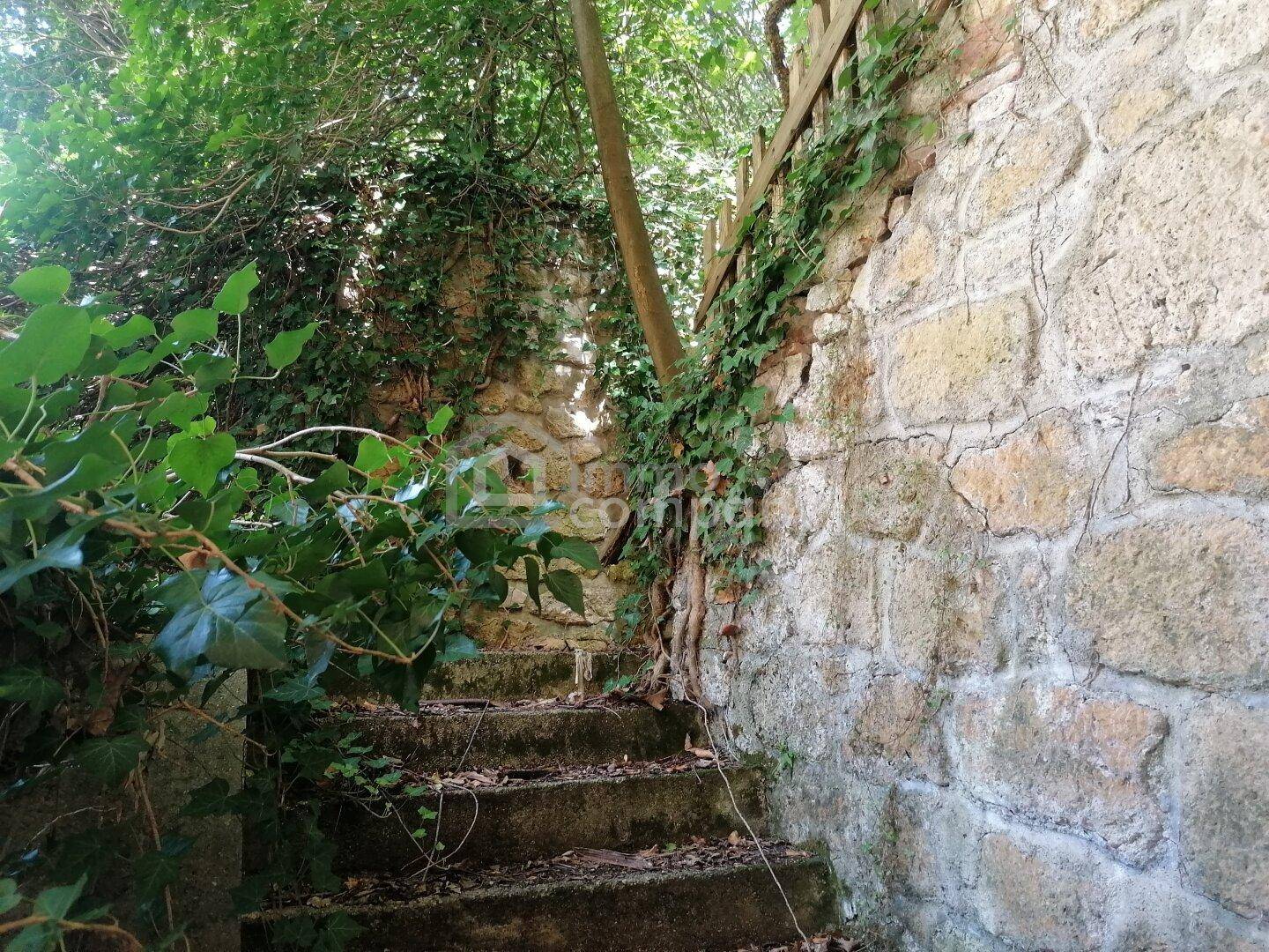 Überwachsene Steintreppe führt durch dichte Vegetation, umgeben von alten Steinmauern.