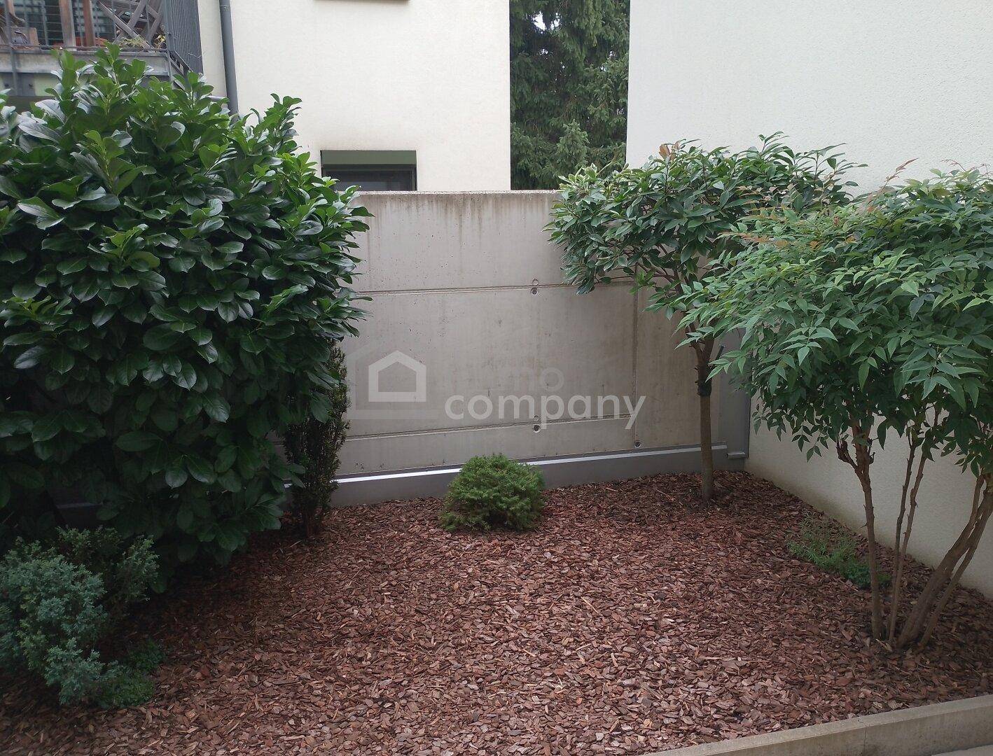 Garten hinten