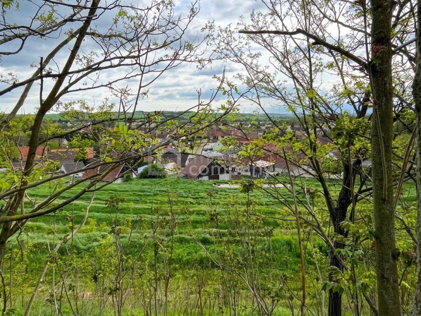Panoramablick über eine ländliche Siedlung und grüne Felder von einem Hügel aus.