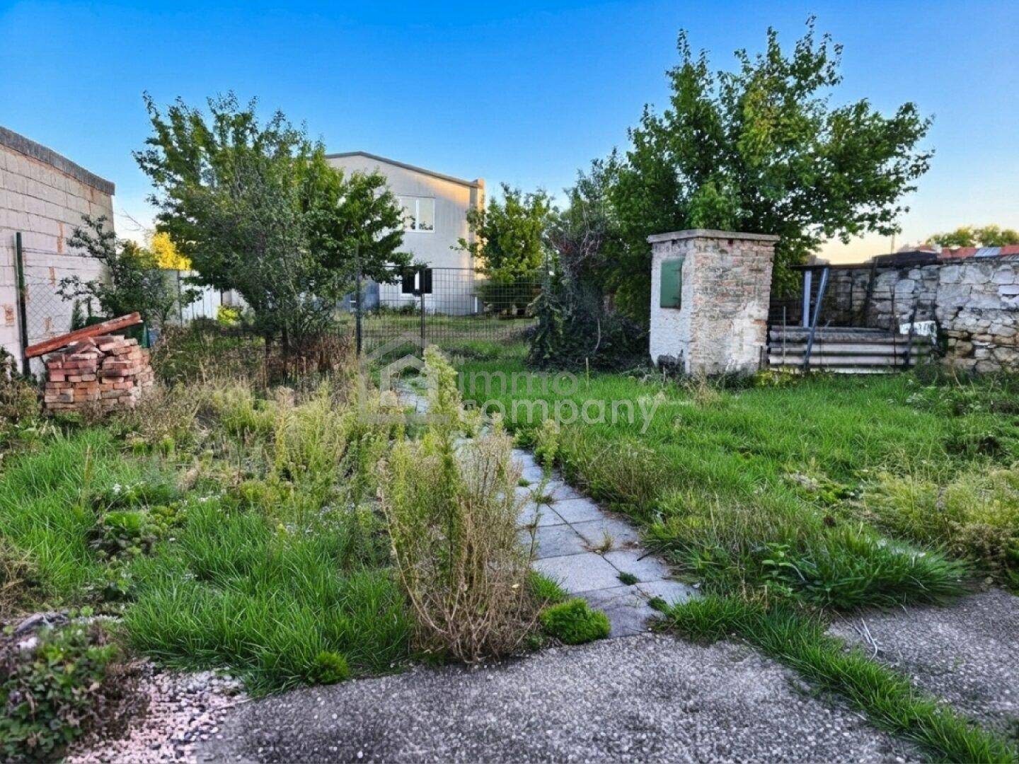 Verwilderter Gartenbereich mit Bäumen und einem kleinen Pfad, der zu einem Gebäude führt.
