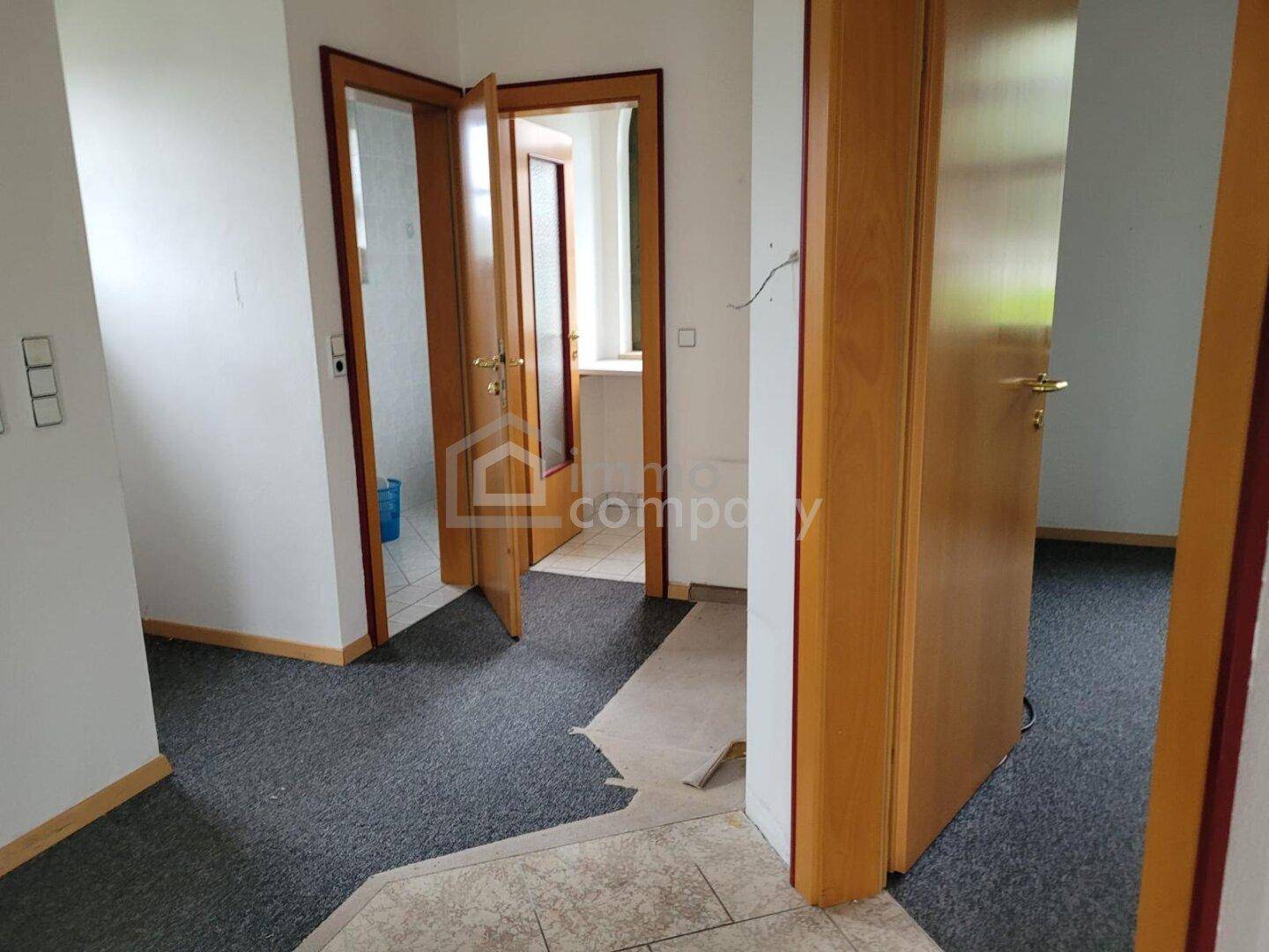 Flur mit Teppichboden und Holztüren, der zu verschiedenen Räumen führt.