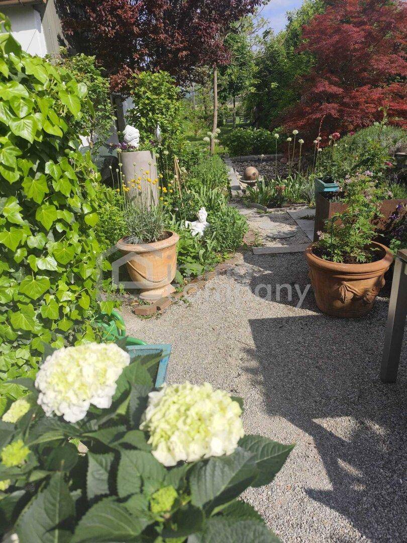 Gepflegter Gartenbereich mit Kiesweg, Topfpflanzen und üppiger Begrünung im Sonnenlicht.