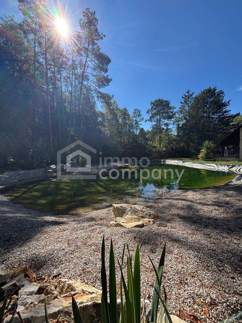 Natürlicher Teich oder Pool in einem sonnigen Garten, umgeben von Bäumen und Kiesflächen unter blauem Himmel.