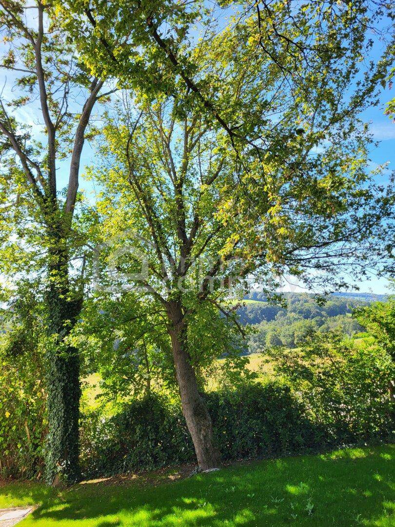 Idyllischer Ausblick auf grüne Hügel und Bäume unter blauem Himmel, umgeben von Natur.