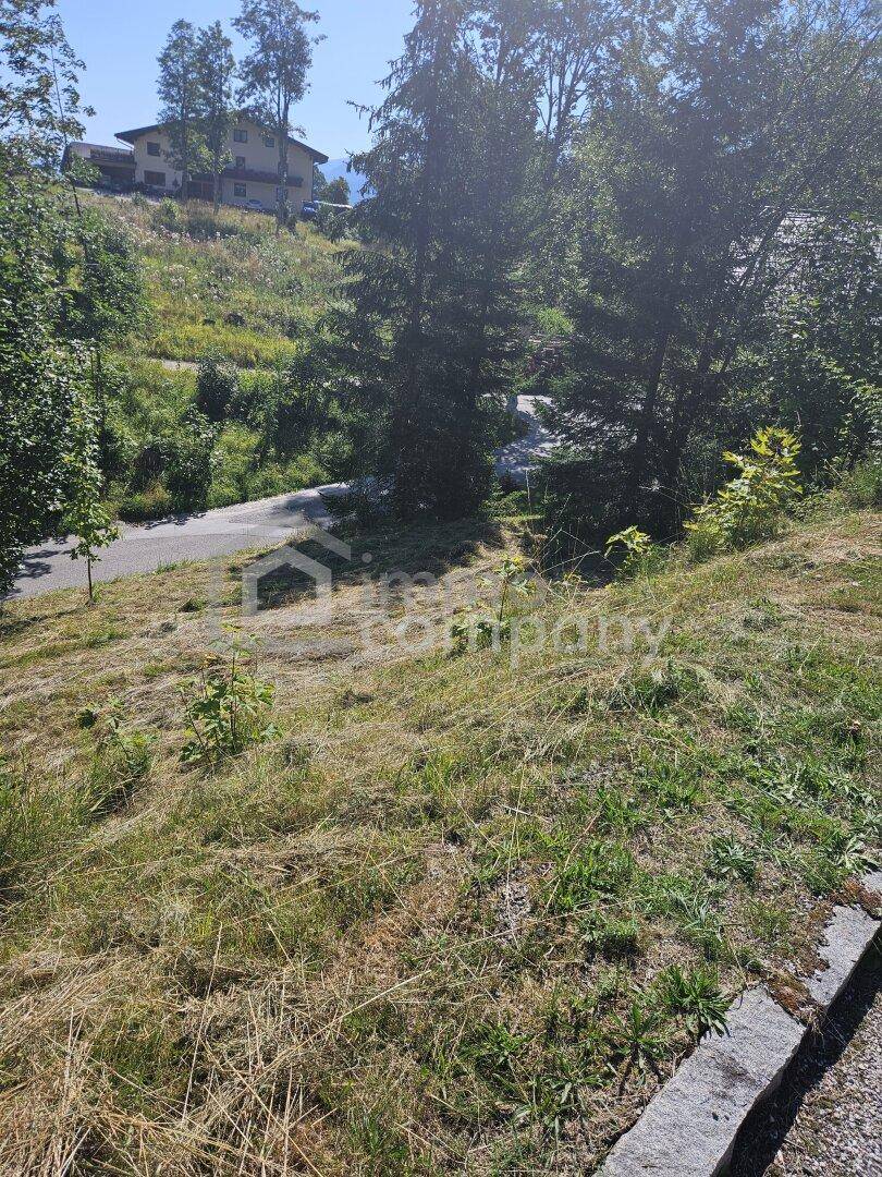Hanglage mit Gras und Bäumen neben einer Straße, im Hintergrund sind weitere Häuser sichtbar.