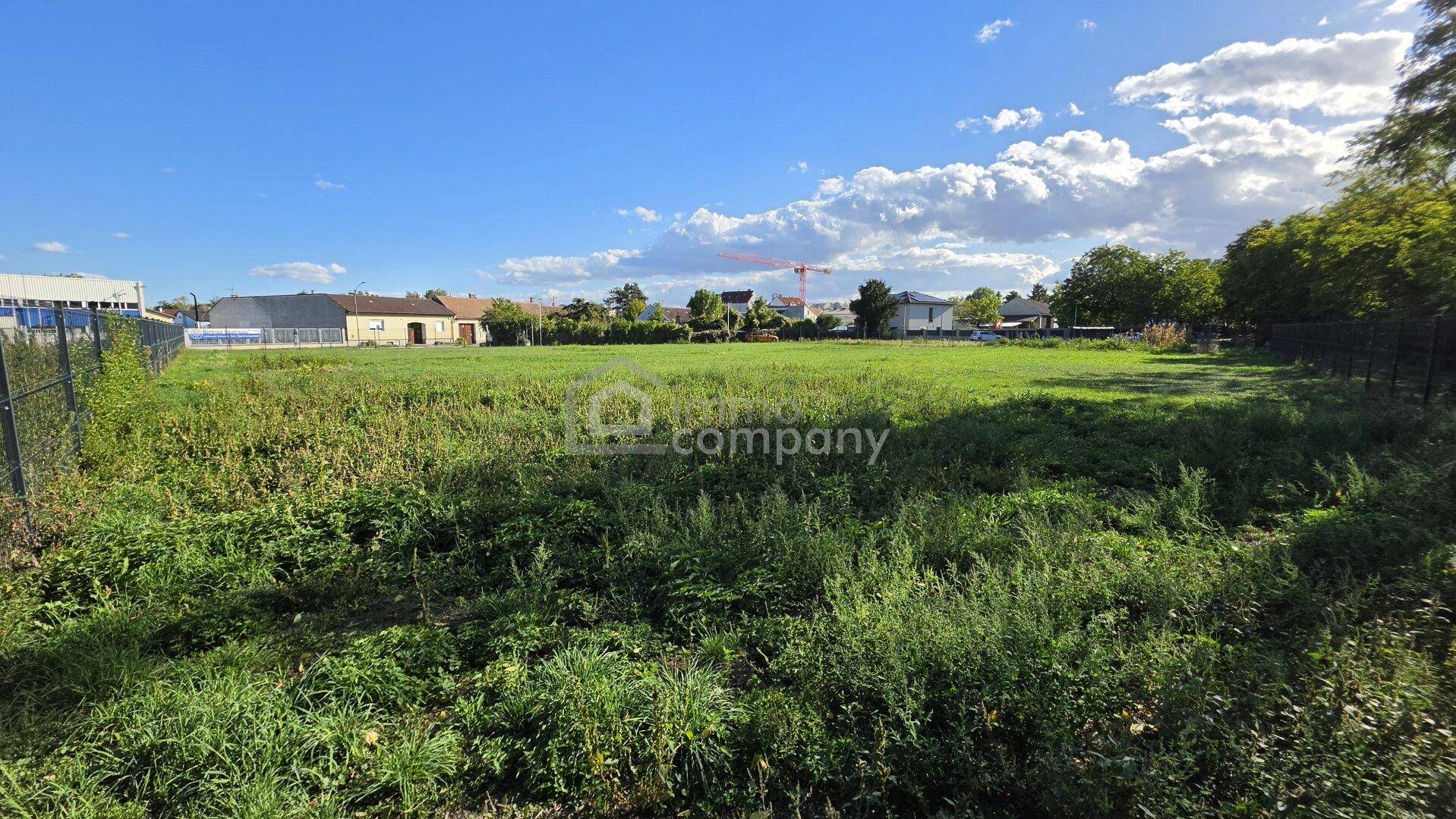 Ungepflegtes Feld mit hohem Gras und Blick auf entfernte Gebäude unter blauem Himmel.