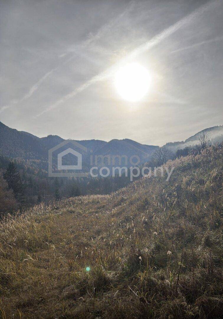 Sonnenüberflutete Hügellandschaft mit trockener Vegetation und Bergen im Dunst.