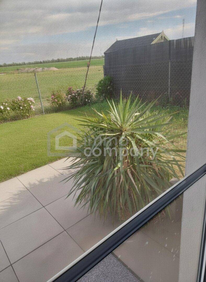 Blick aus dem Fenster auf eine gepflasterte Fläche, eine Yucca-Pflanze und einen Rasen mit weitem Feld.