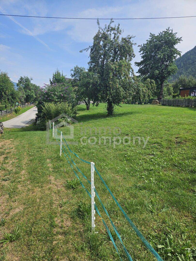 Grüner Gartenbereich mit einfacher Umzäunung, Bäumen und einem Weg im ländlichen Stil.