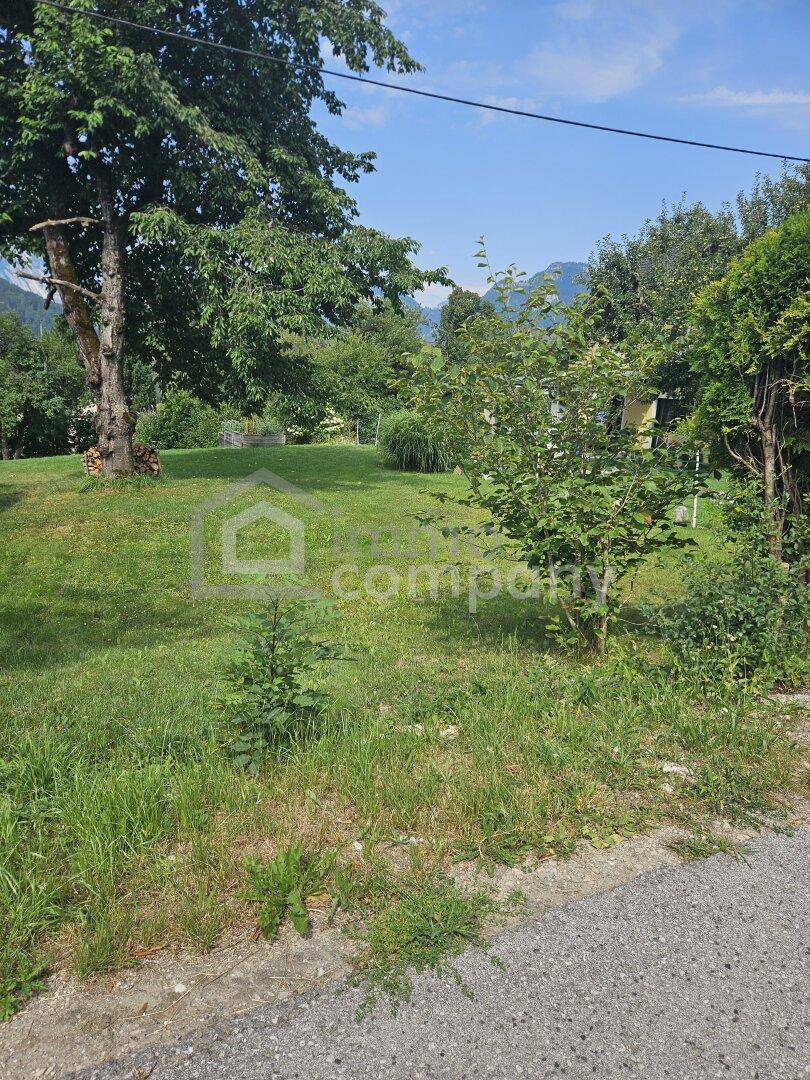 Naturbelassener Gartenbereich mit Bäumen, Sträuchern und Blick auf die umliegende Landschaft.